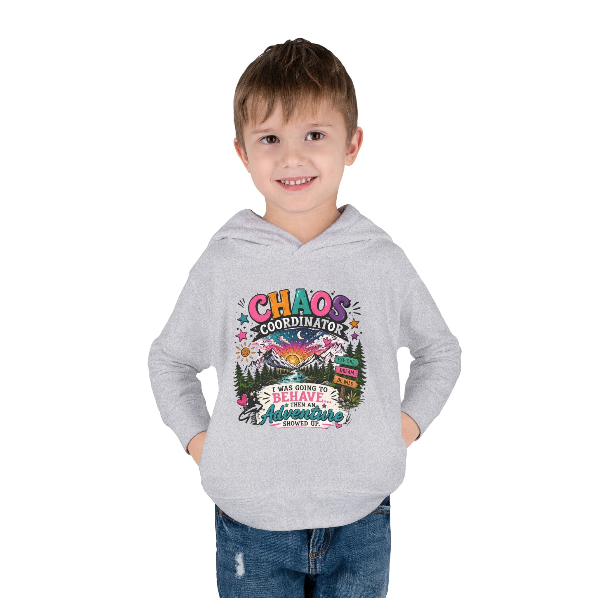Chaos Coordinator Toddler Pullover Fleece Hoodie