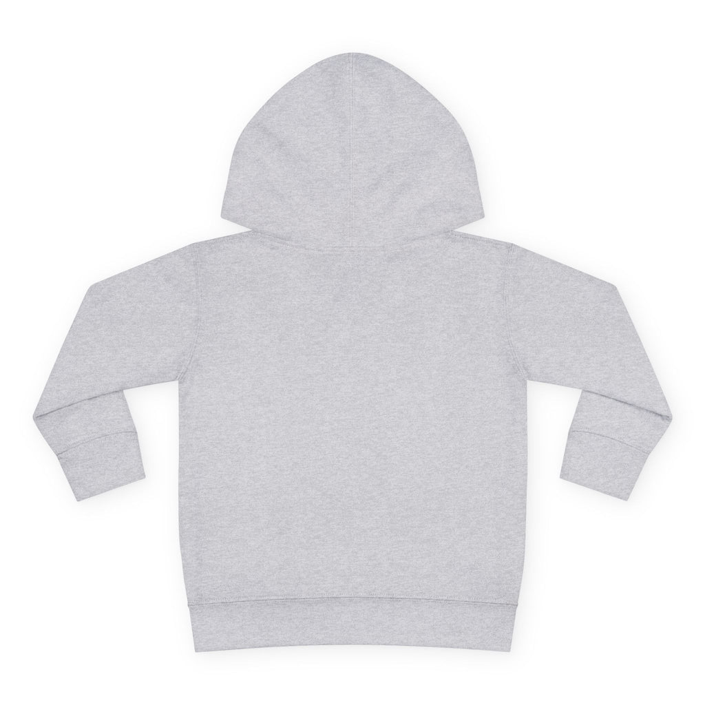 Cute on the outside Choas on the inside Toddler Pullover Fleece Hoodie
