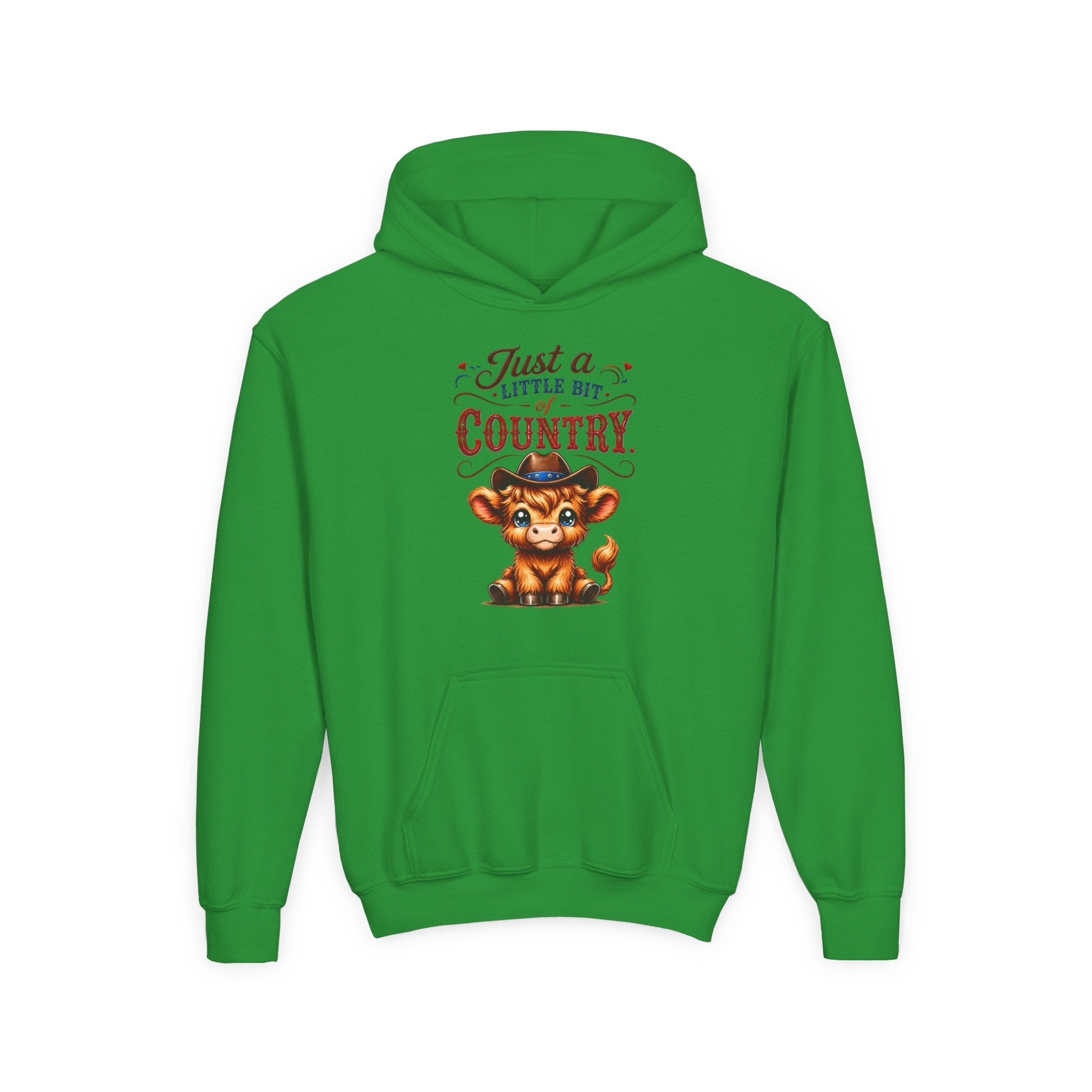 Just a Little Bit of Country Youth Heavy Blend Hooded Sweatshirt