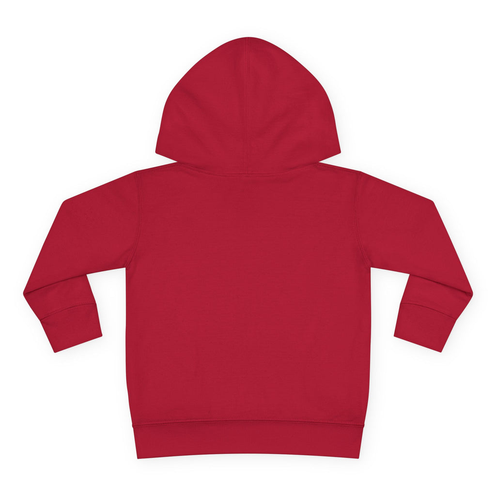 Chaos Coordinator Toddler Pullover Fleece Hoodie
