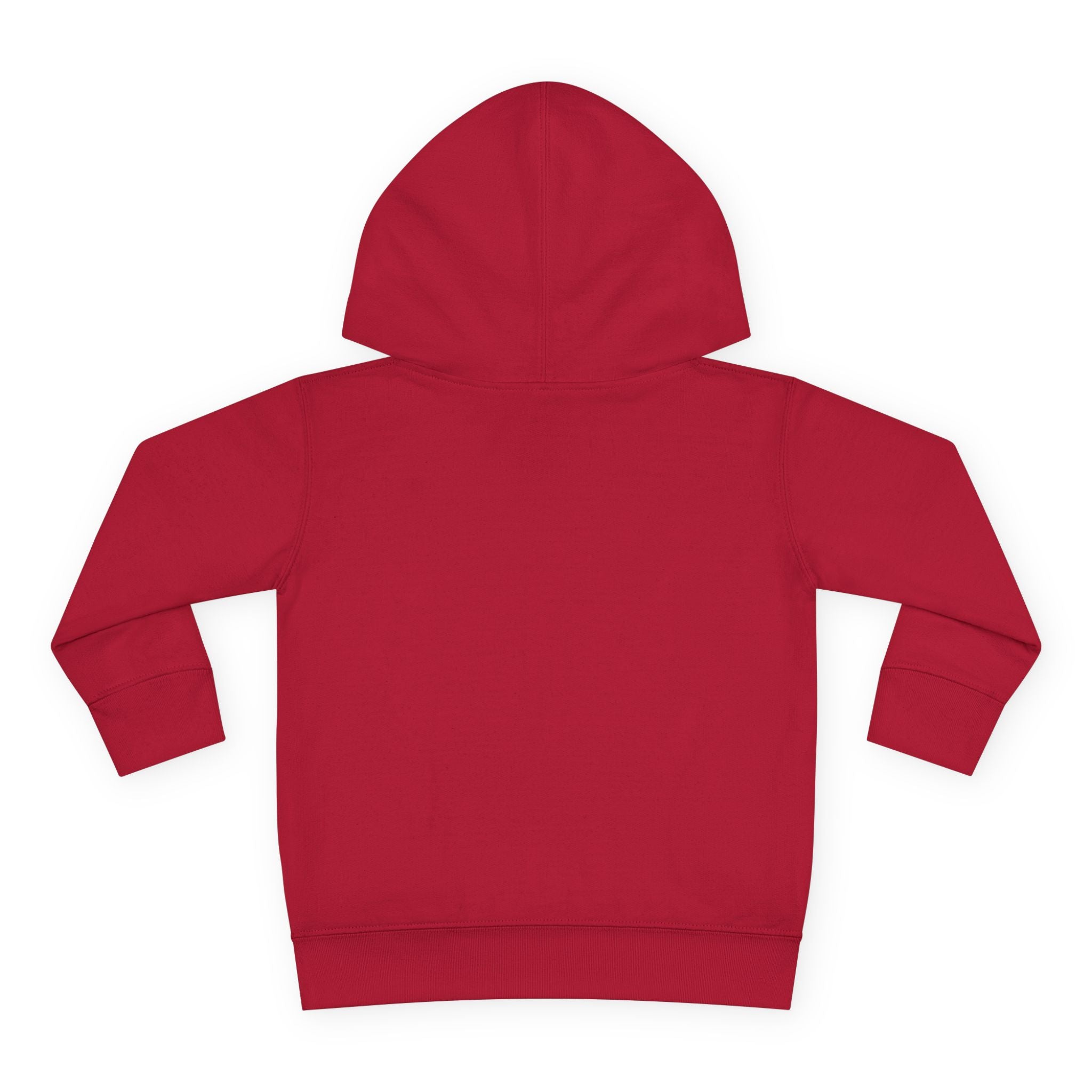 Chaos Coordinator Toddler Pullover Fleece Hoodie