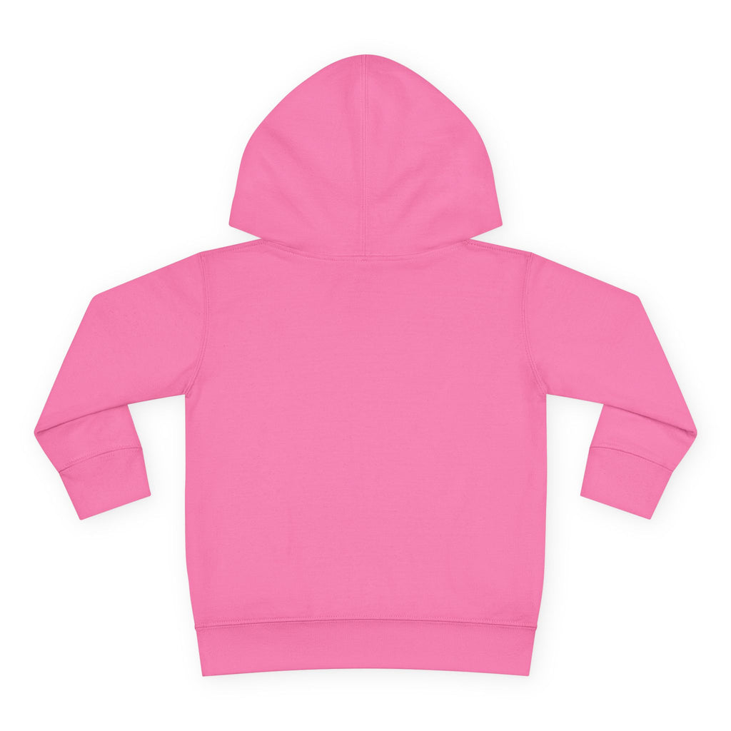 Chaos Coordinator Toddler Pullover Fleece Hoodie