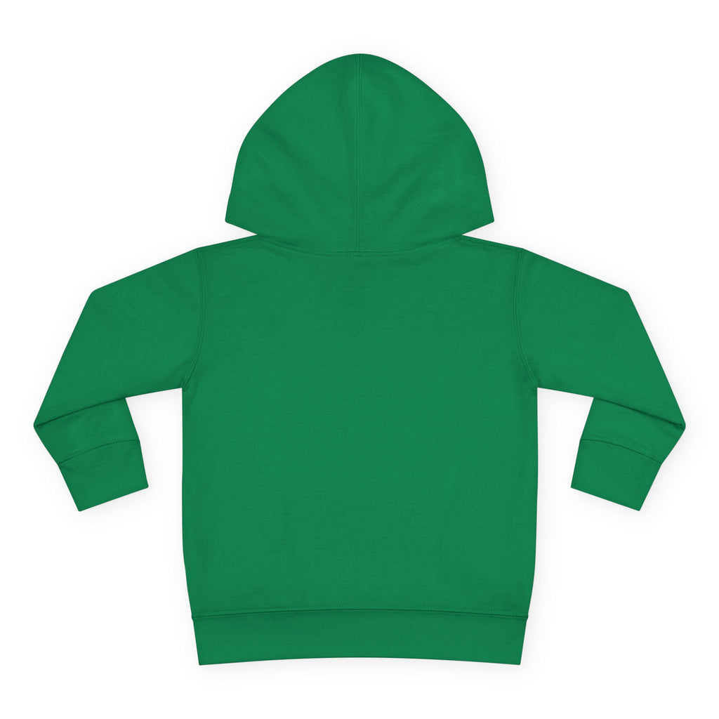 Chaos Coordinator Toddler Pullover Fleece Hoodie