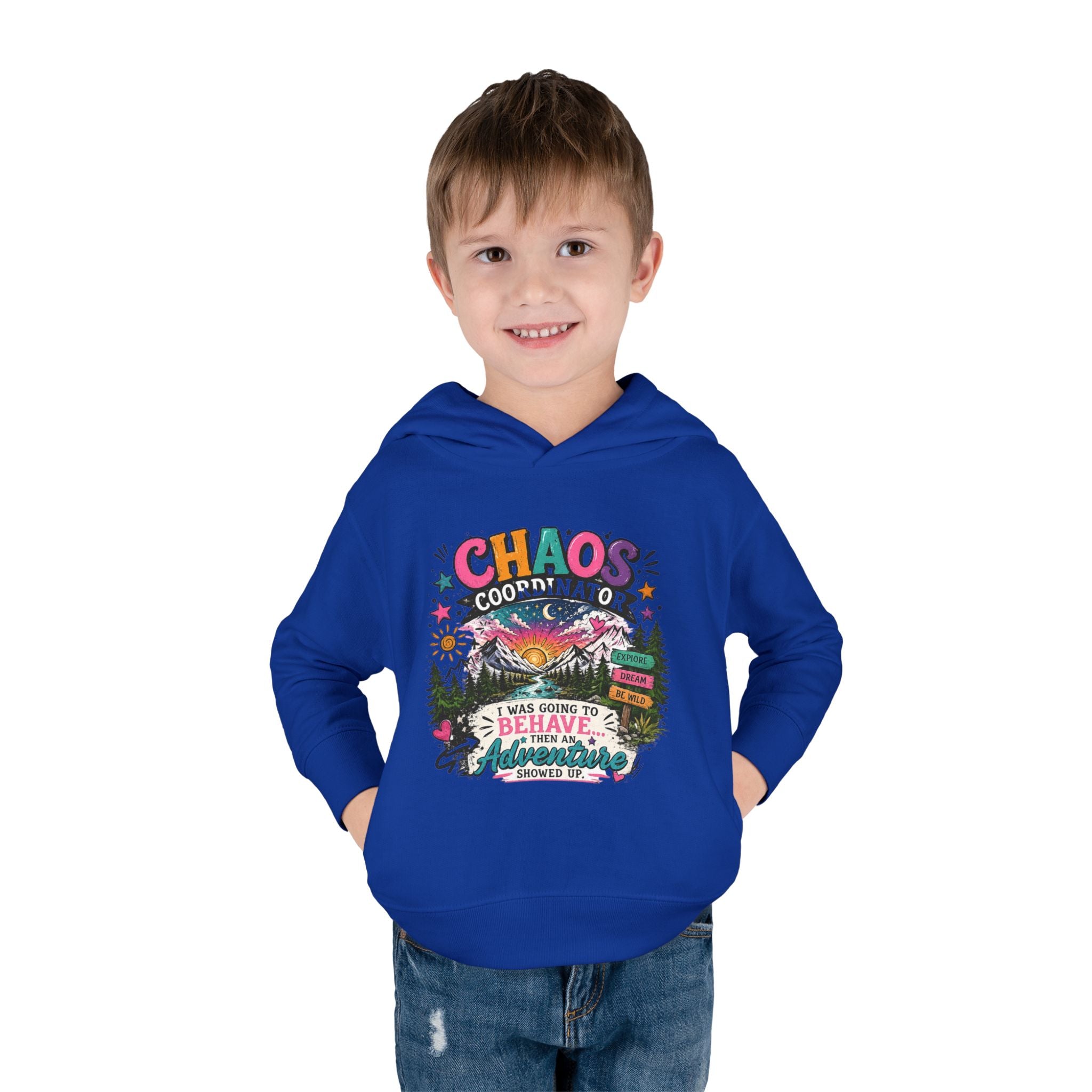 Chaos Coordinator Toddler Pullover Fleece Hoodie
