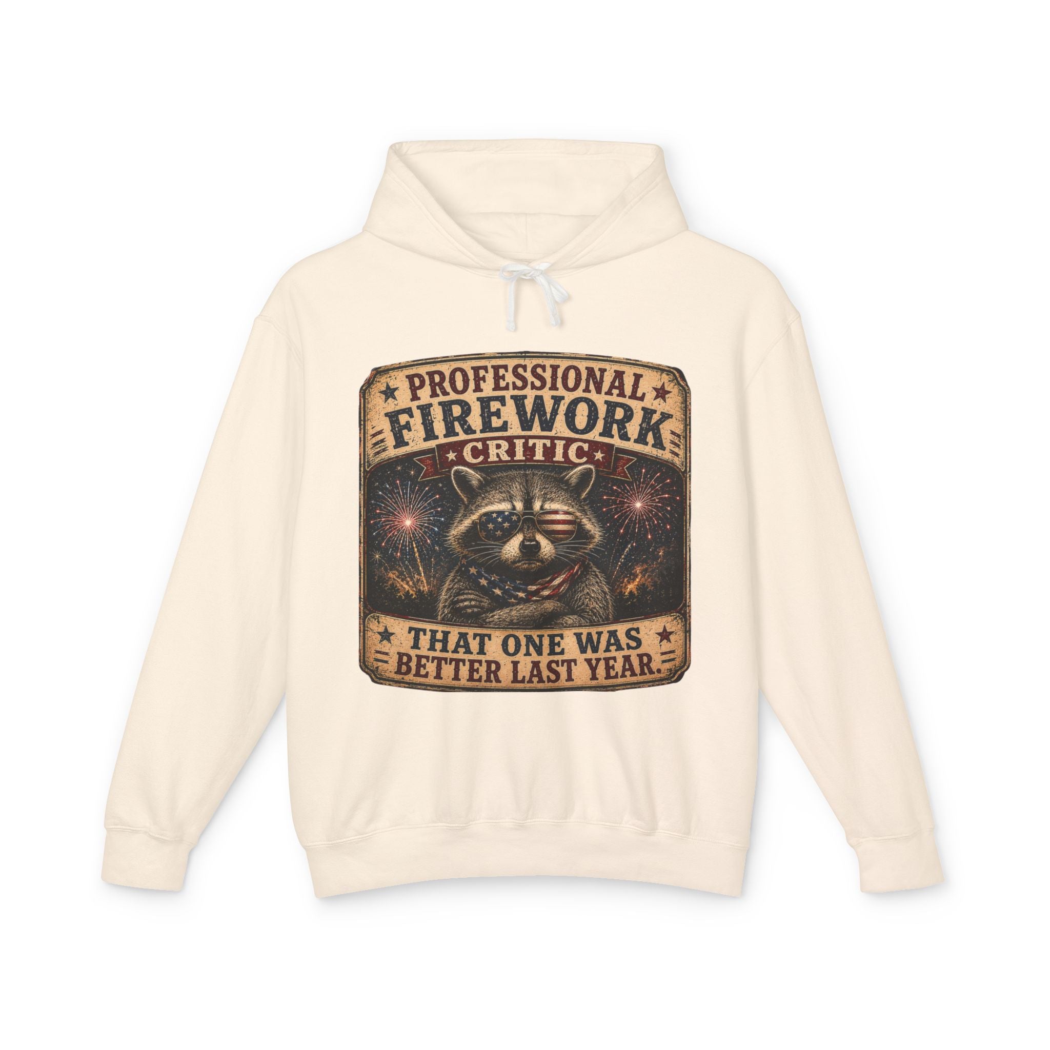 Firework Critic Hoodie — "Professional Firework Critic: That One Was Better Last Year"