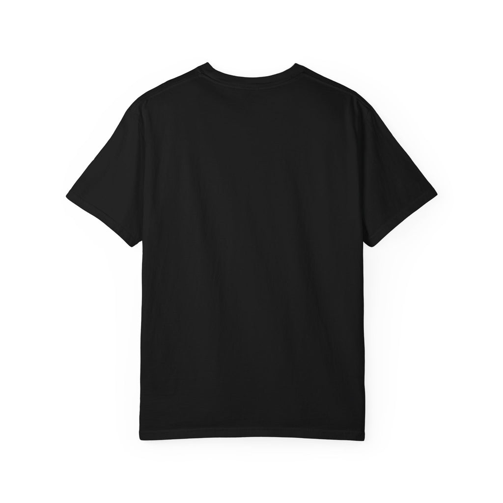 Firework Critic Raccoon T-Shirt — "Professional Firework Critic, That One Was Better Last Year"