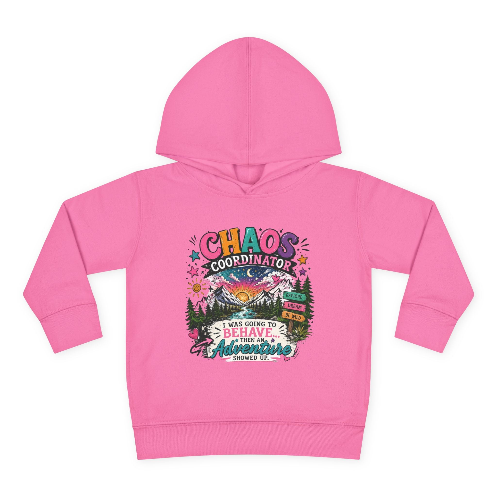 Chaos Coordinator Toddler Pullover Fleece Hoodie