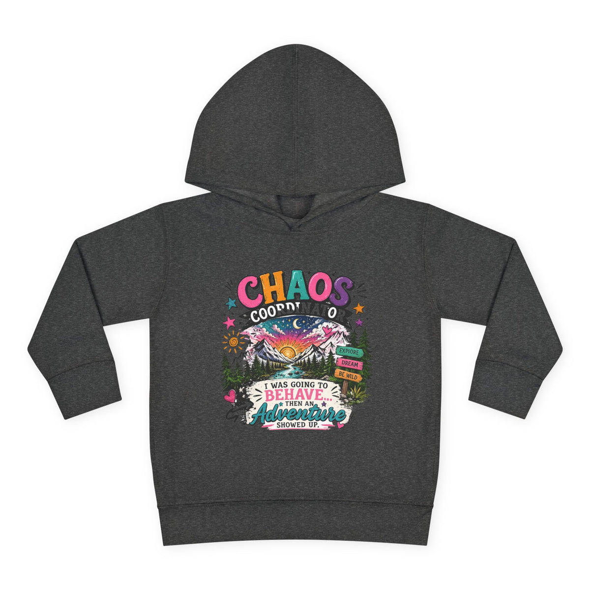 Chaos Coordinator Toddler Pullover Fleece Hoodie