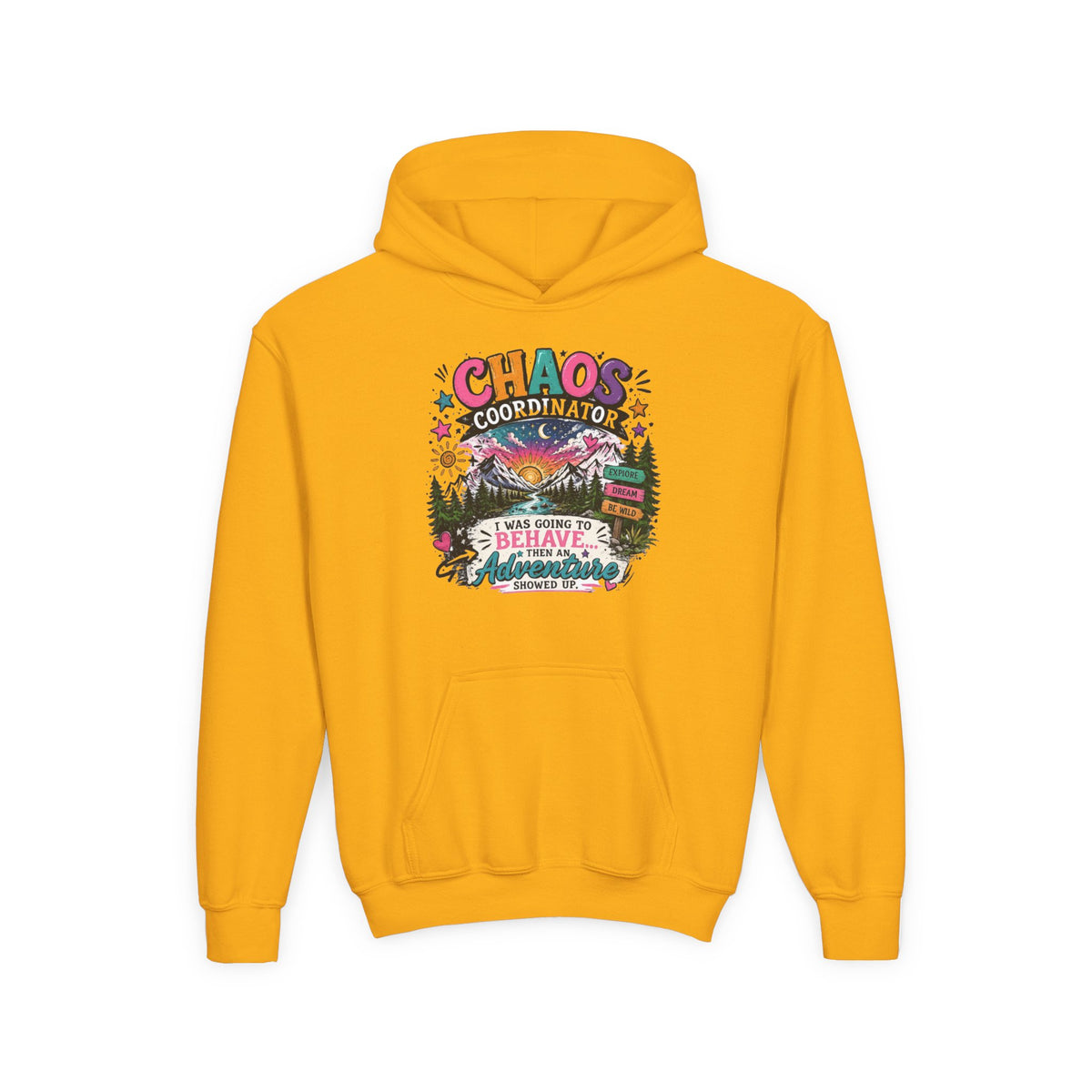 Chaos Coordinator Youth Heavy Blend Hooded Sweatshirt