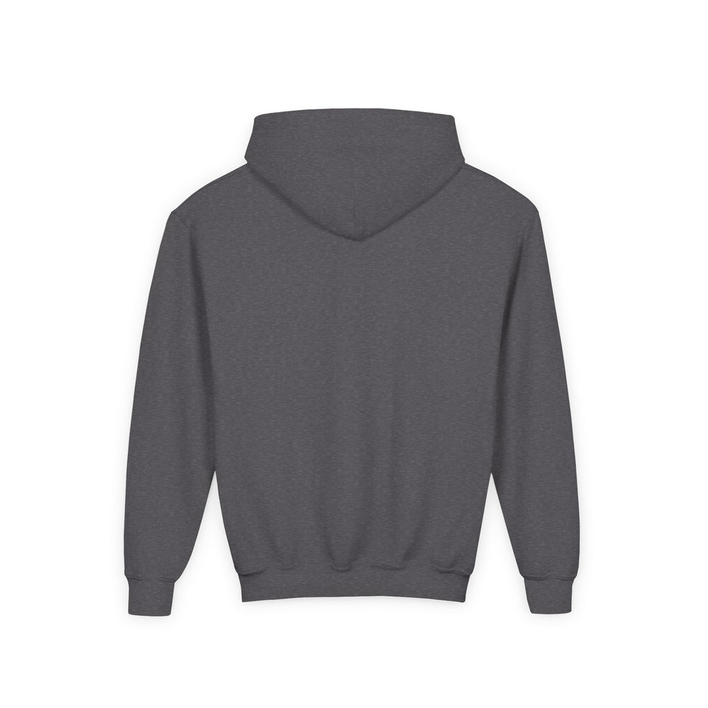 Youth Hoodie — "Wild & Free" Horse Graphic Pullover