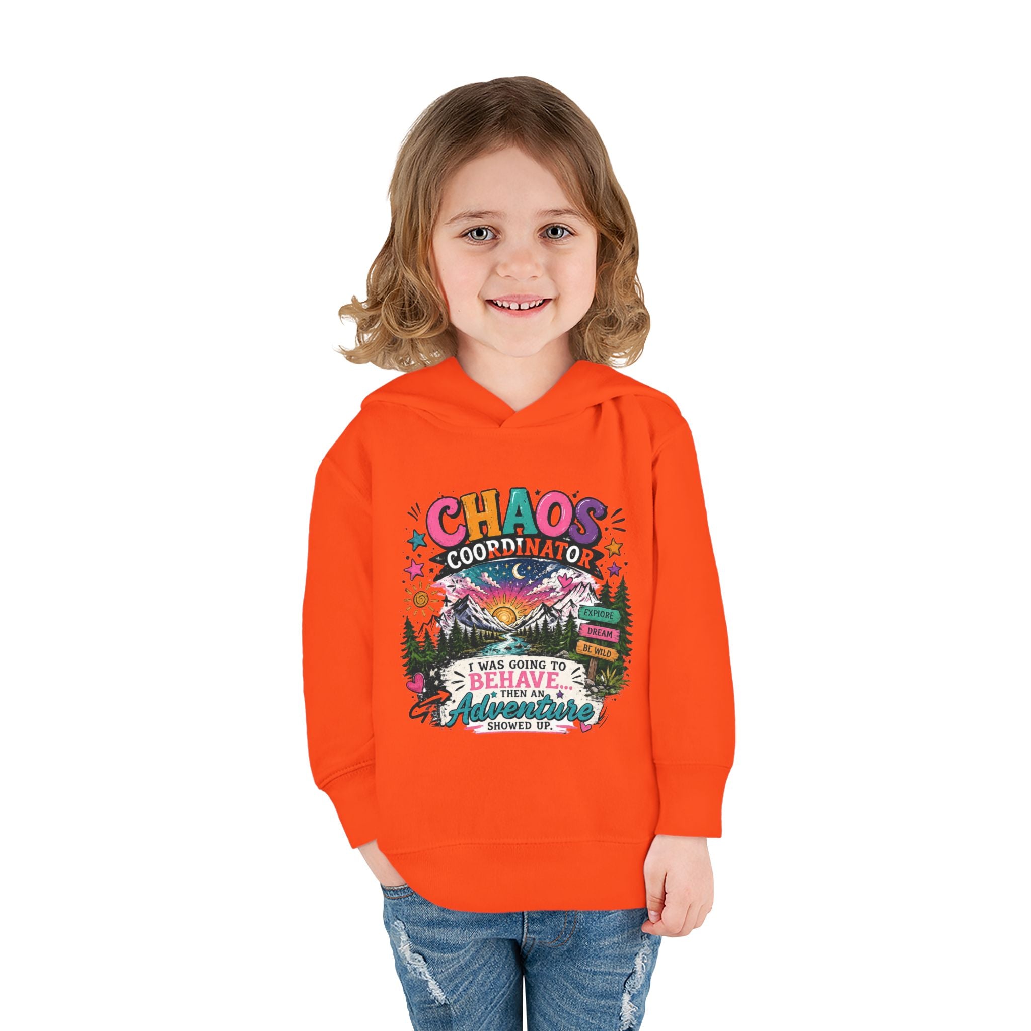 Chaos Coordinator Toddler Pullover Fleece Hoodie