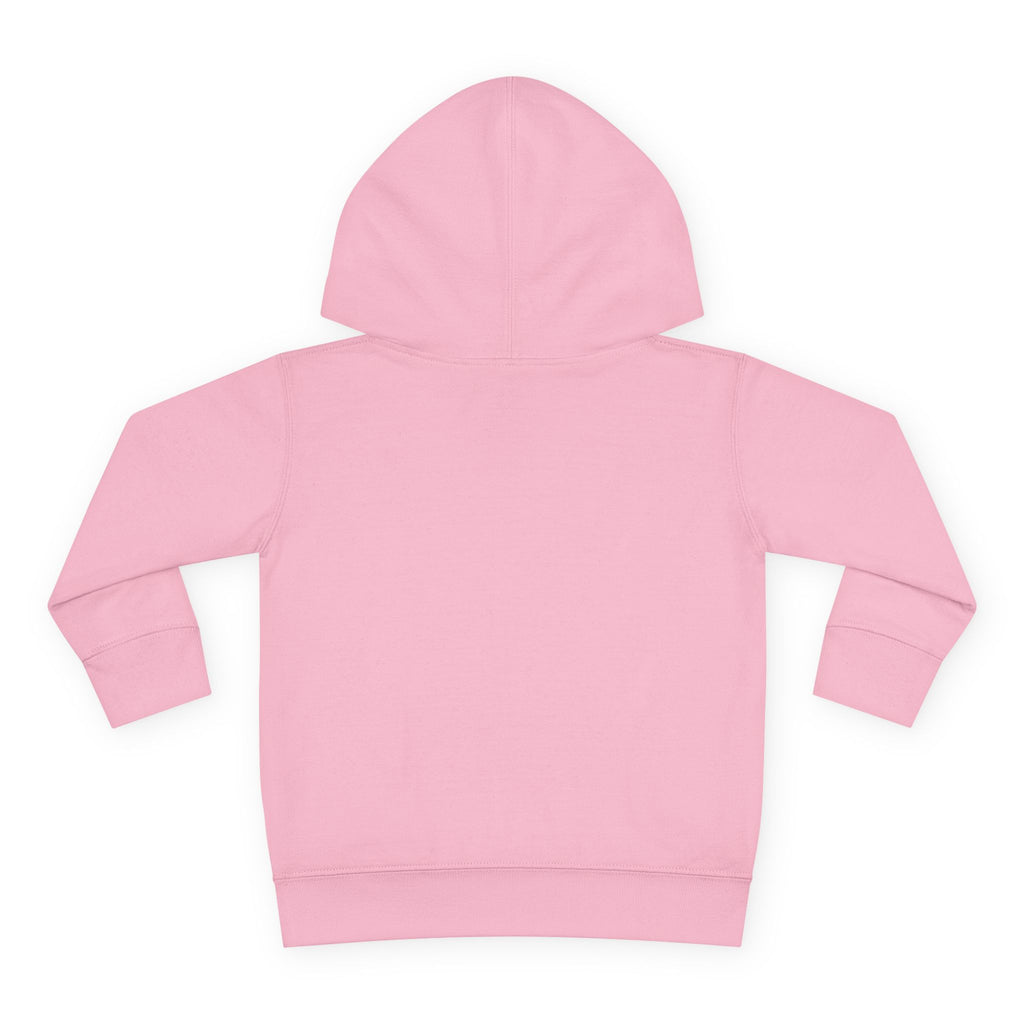Cute on the outside Choas on the inside Toddler Pullover Fleece Hoodie