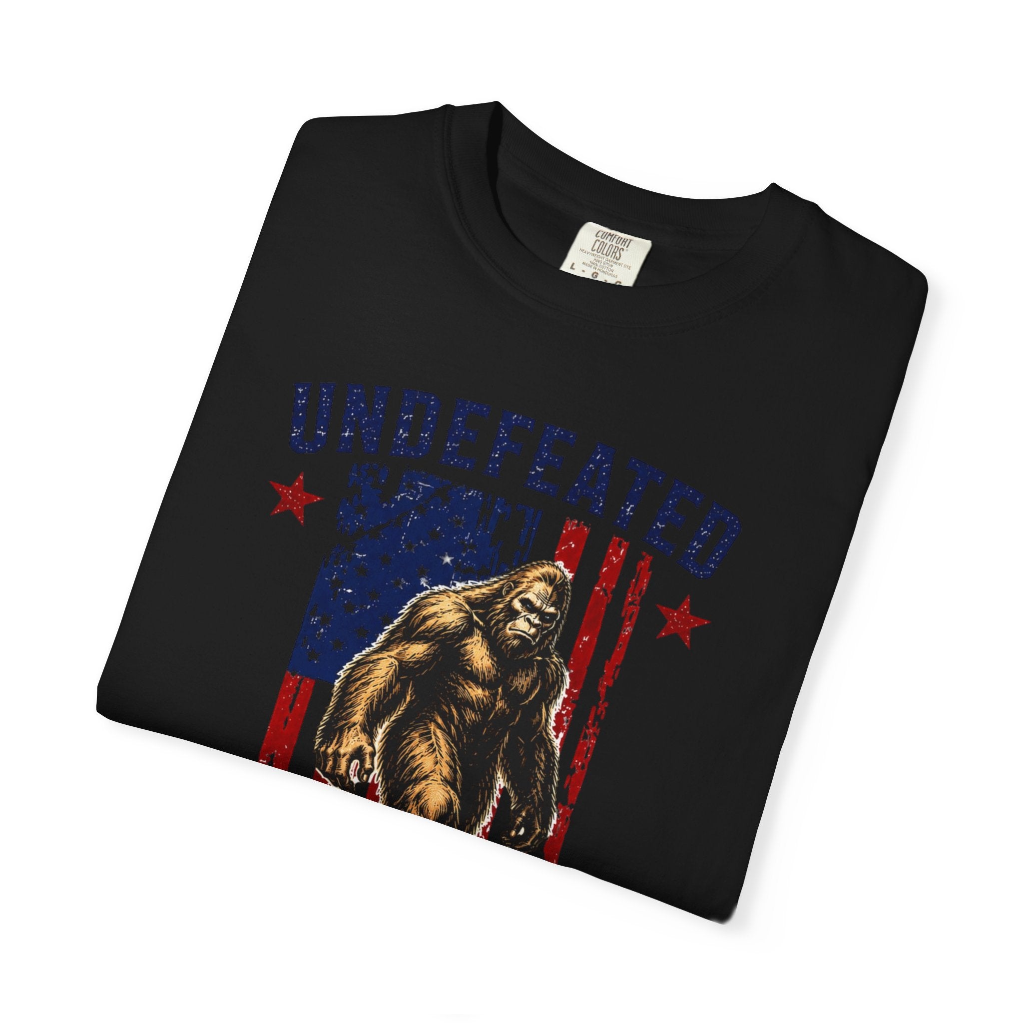 Undefeated Hide and Seek Champion 4th of July T-shirt