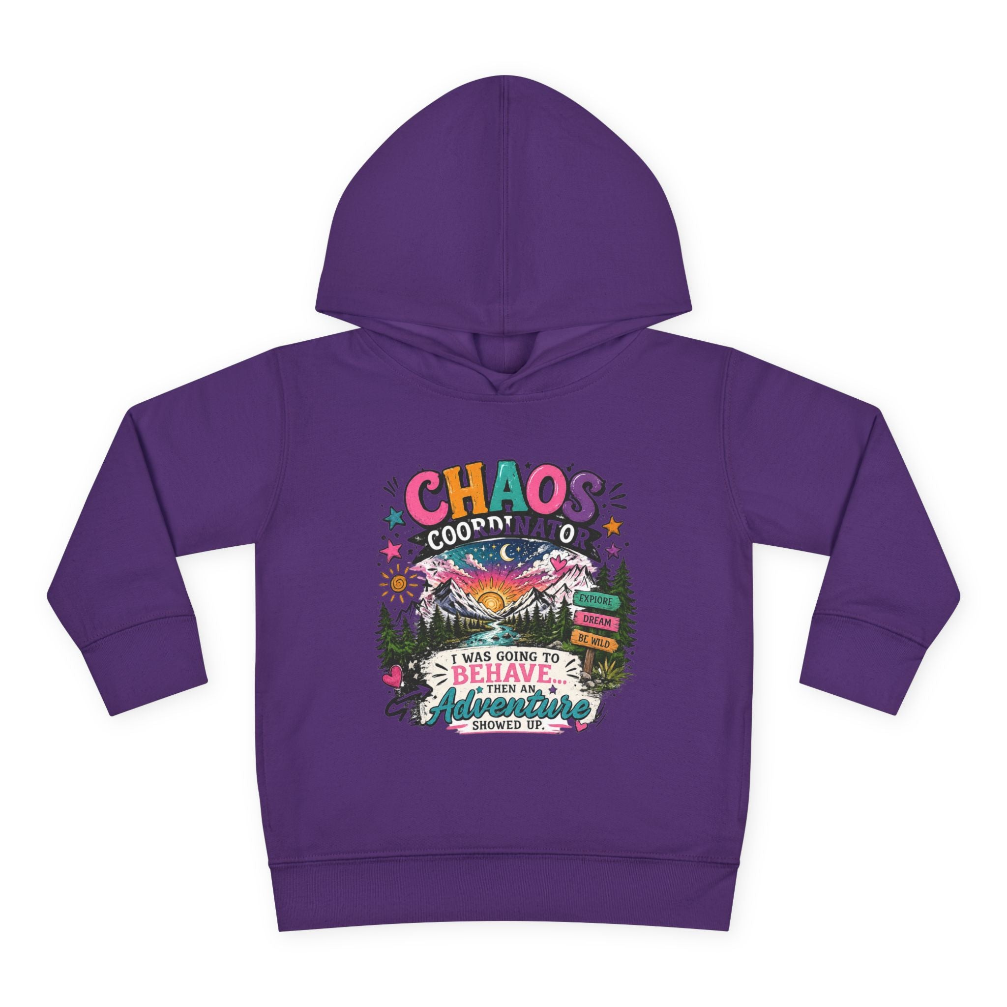 Chaos Coordinator Toddler Pullover Fleece Hoodie