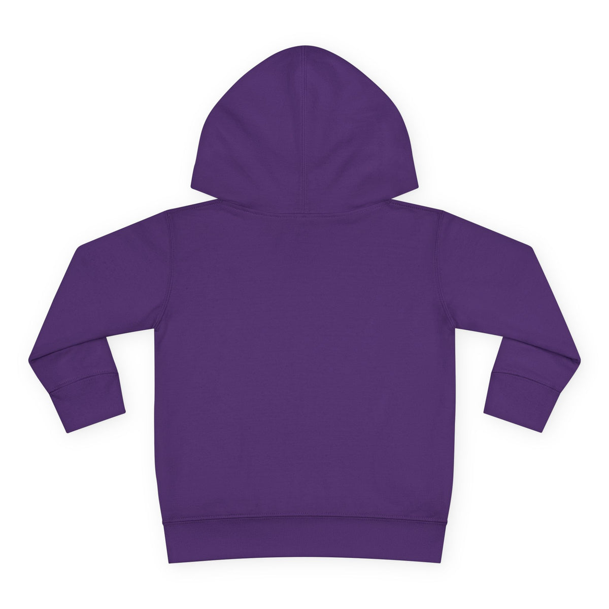 Chaos Coordinator Toddler Pullover Fleece Hoodie