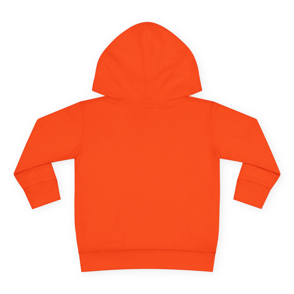 Chaos Coordinator Toddler Pullover Fleece Hoodie