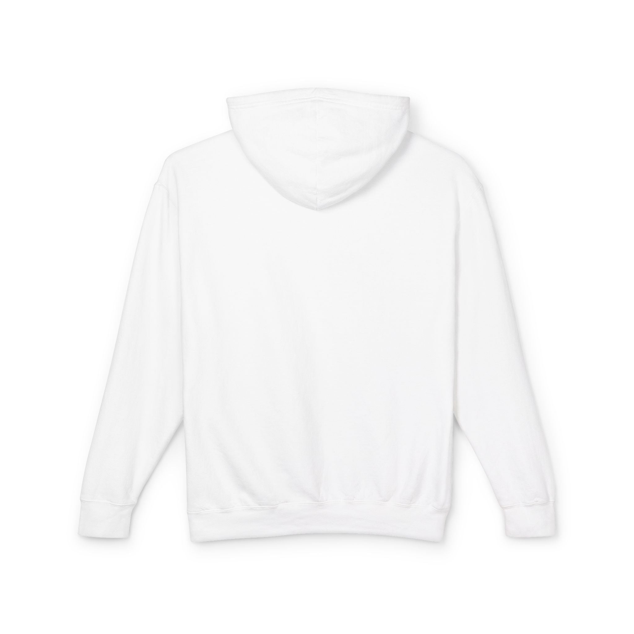 Firework Critic Hoodie — "Professional Firework Critic: That One Was Better Last Year"