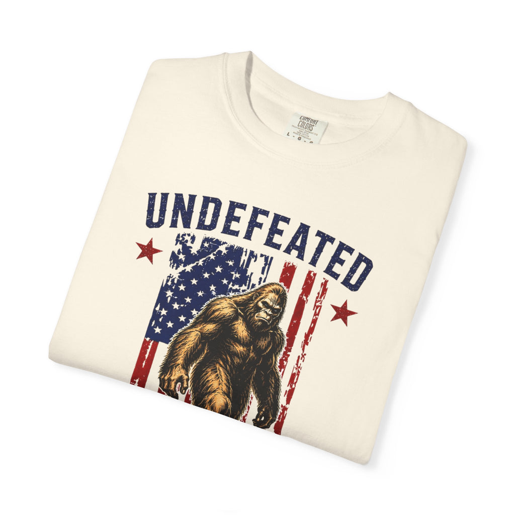 Undefeated Hide and Seek Champion 4th of July T-shirt