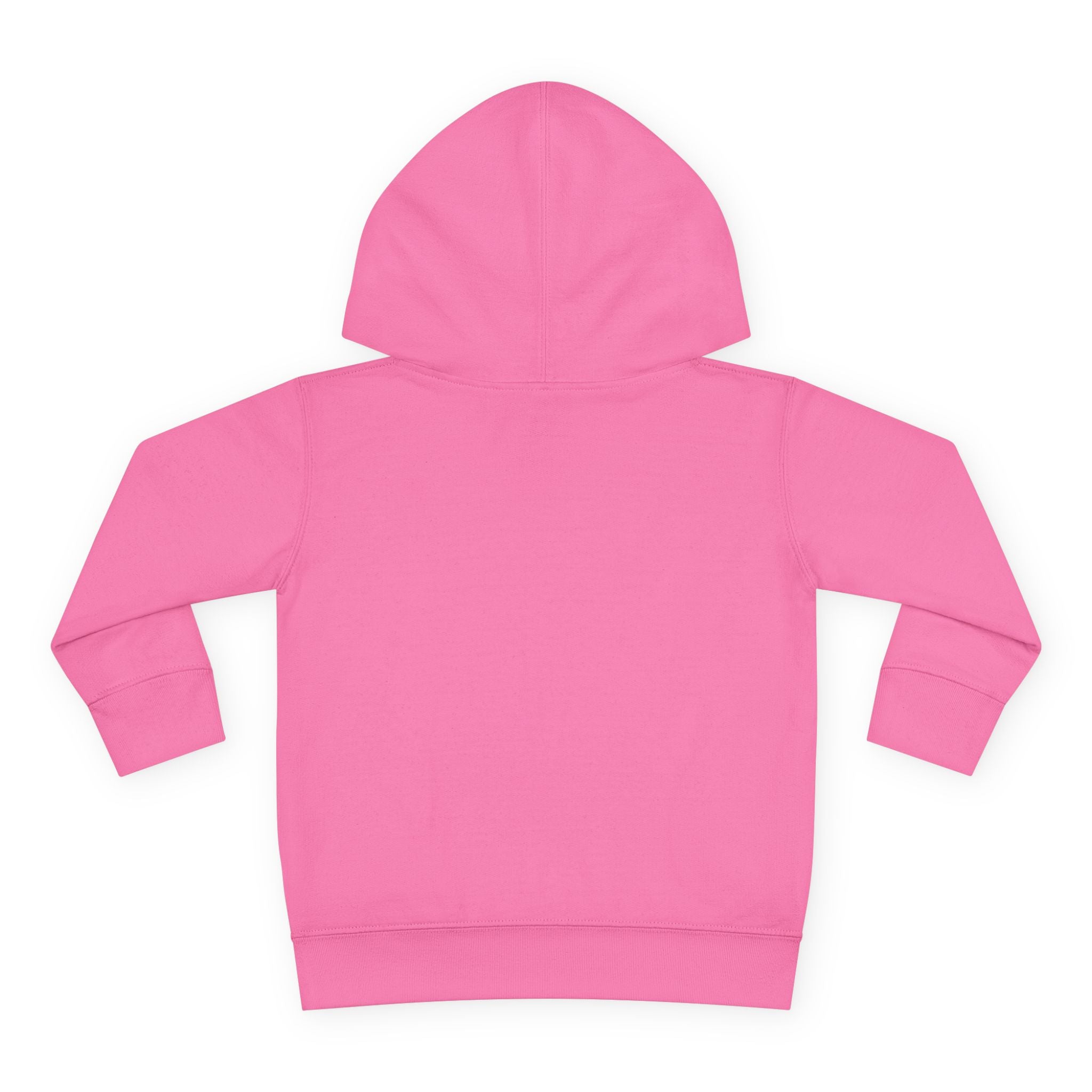 Just a Little Bit of Country Toddler Pullover Fleece Hoodie
