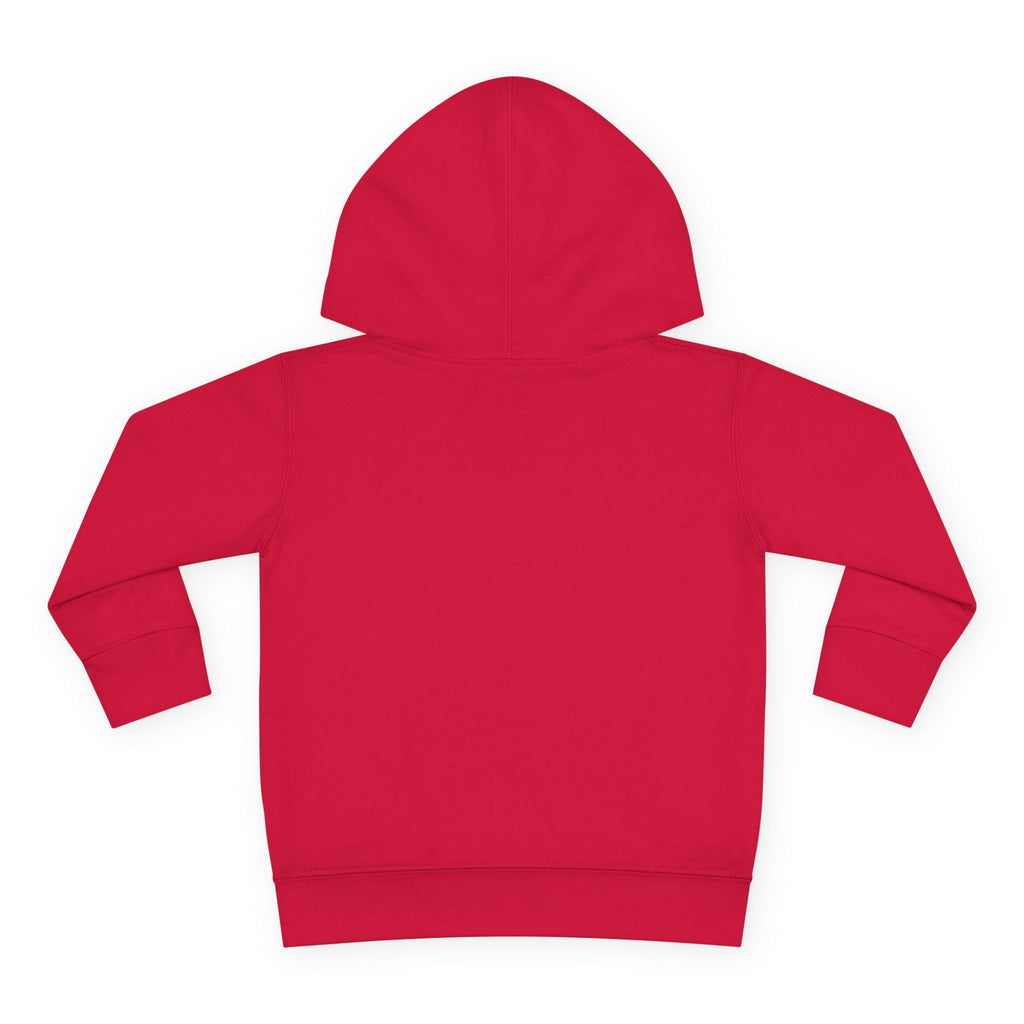 Chaos Coordinator Toddler Pullover Fleece Hoodie