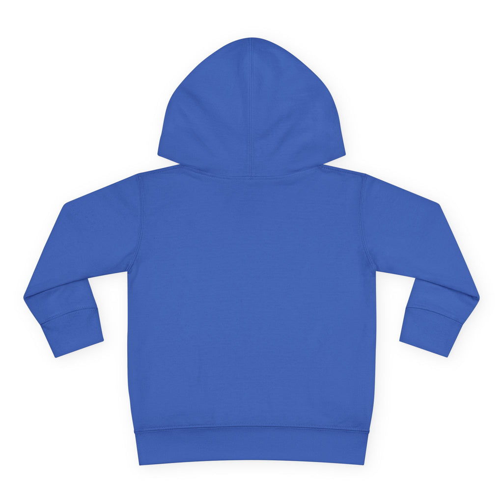 Chaos Coordinator Toddler Pullover Fleece Hoodie