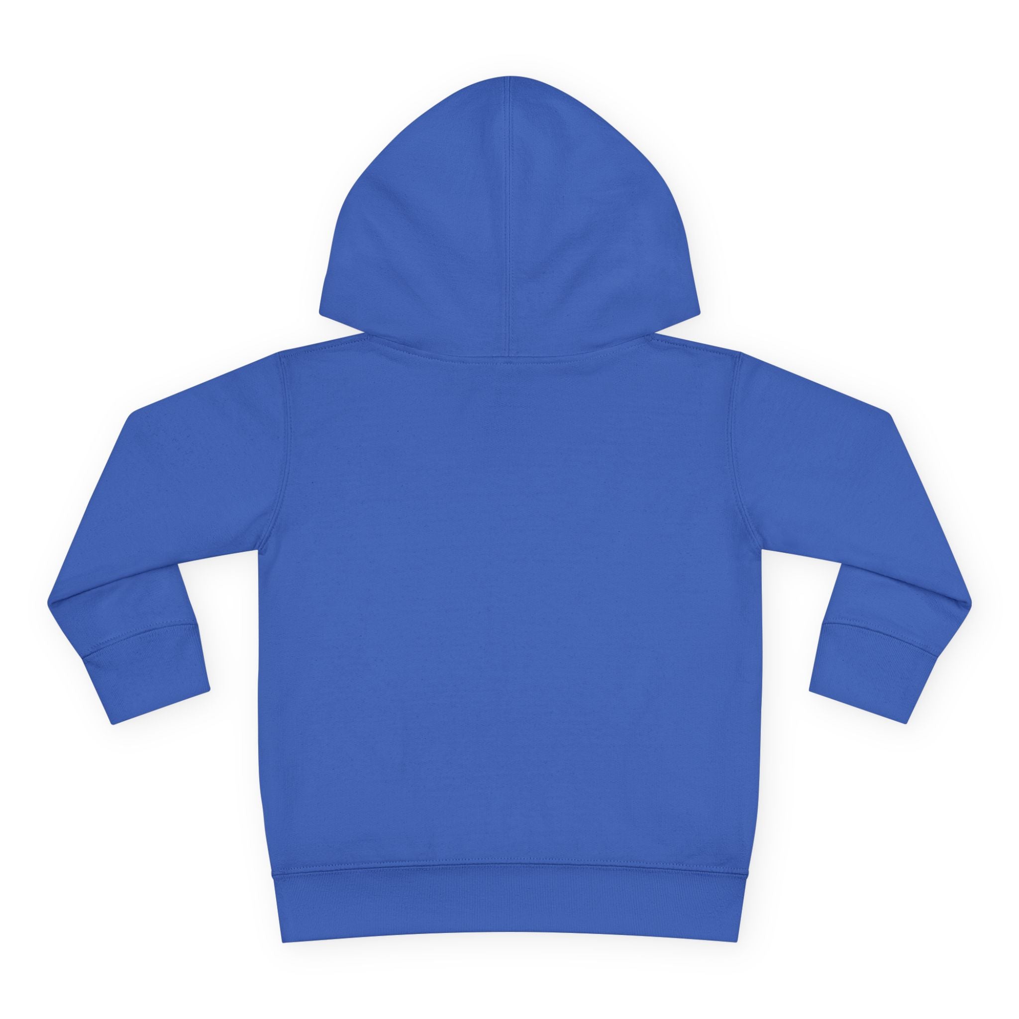 Chaos Coordinator Toddler Pullover Fleece Hoodie
