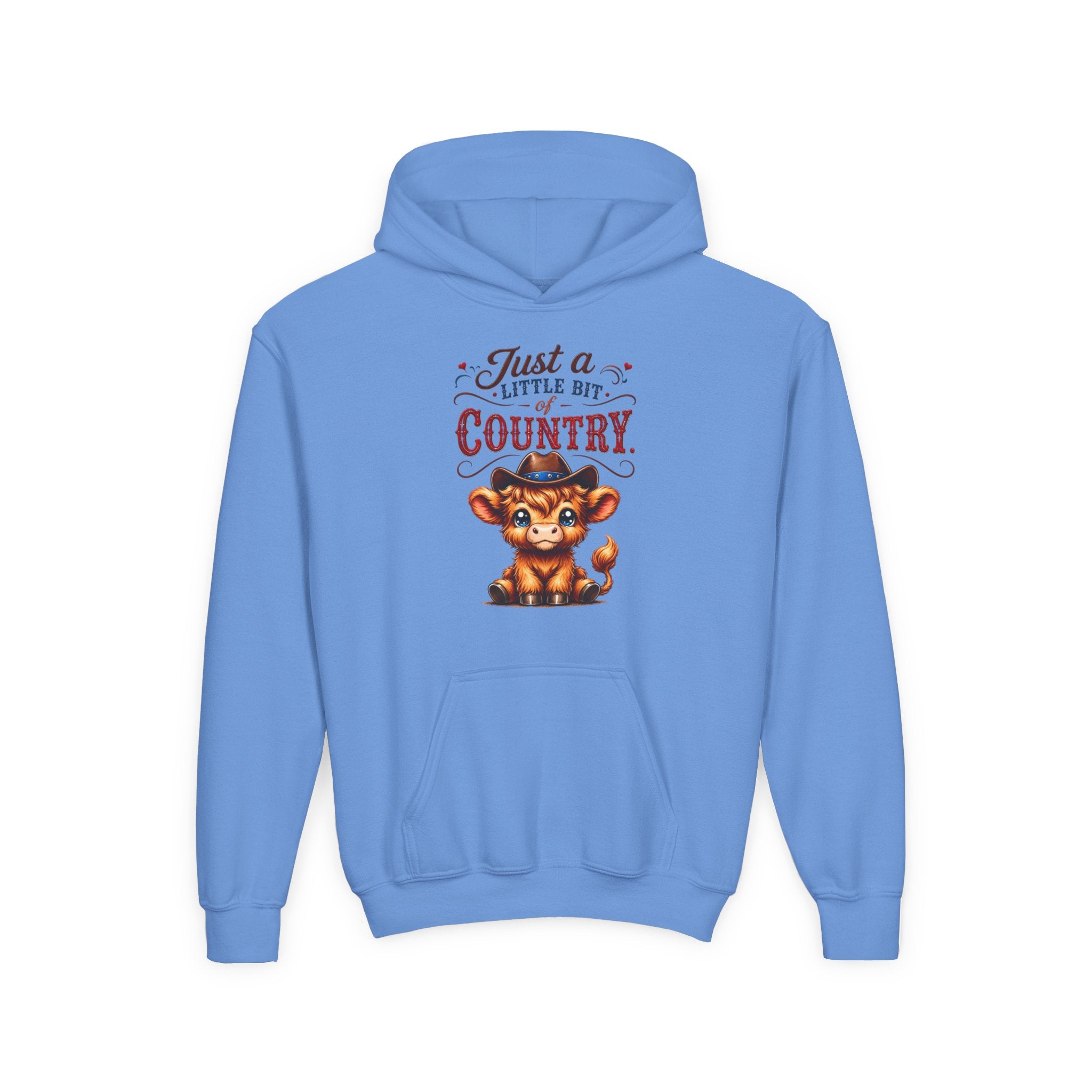 Just a Little Bit of Country Youth Heavy Blend Hooded Sweatshirt