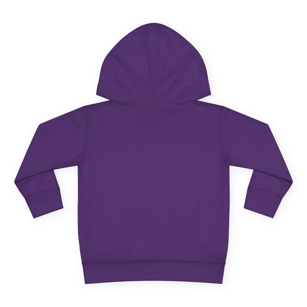 Cute on the outside Choas on the inside Toddler Pullover Fleece Hoodie