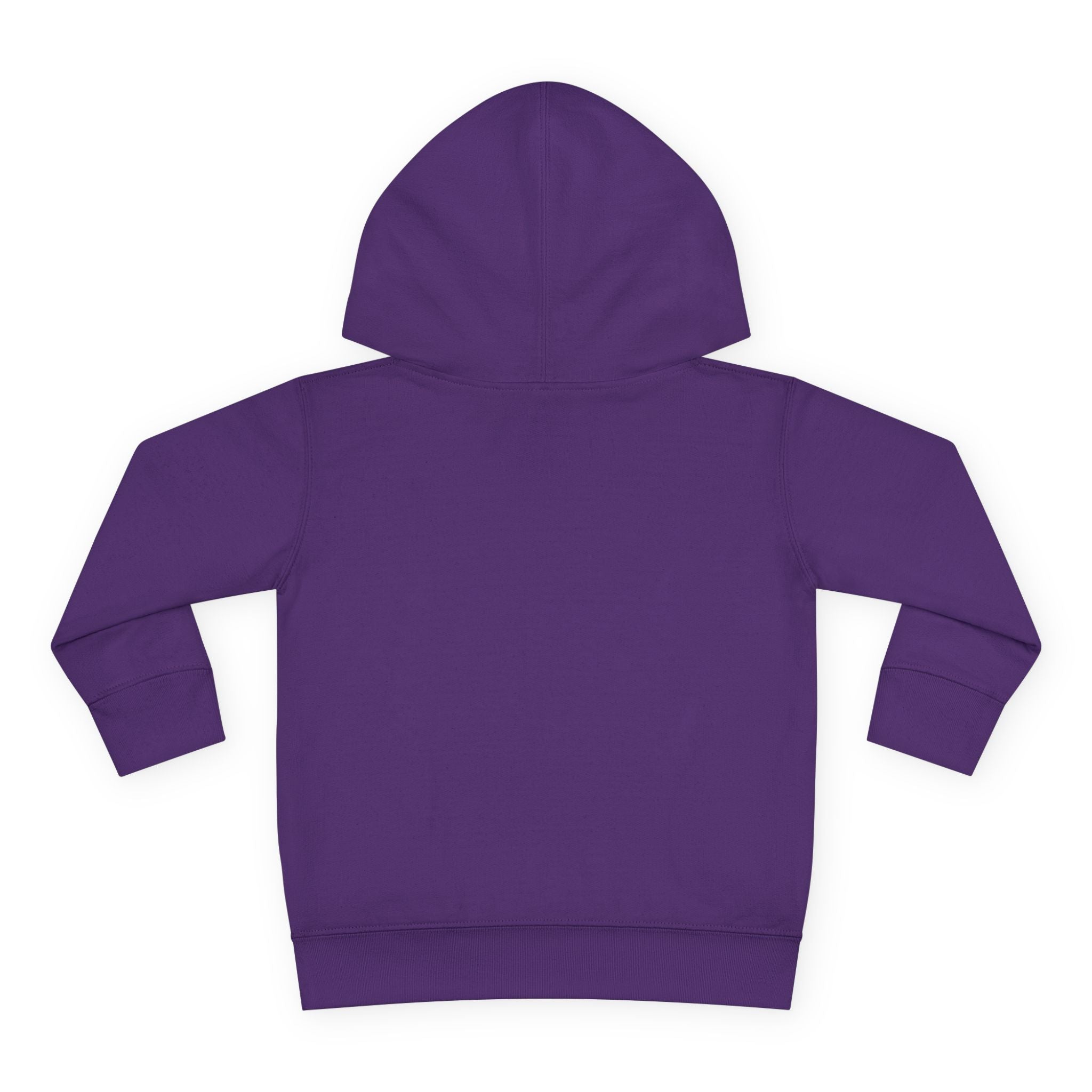 Cute on the outside Choas on the inside Toddler Pullover Fleece Hoodie