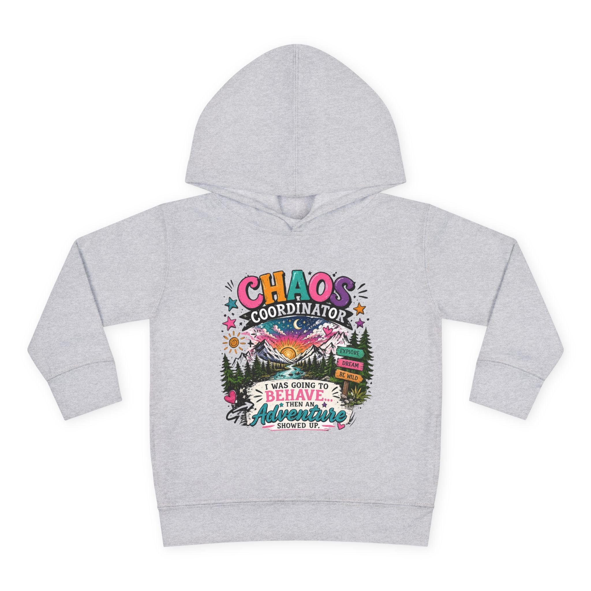 Chaos Coordinator Toddler Pullover Fleece Hoodie