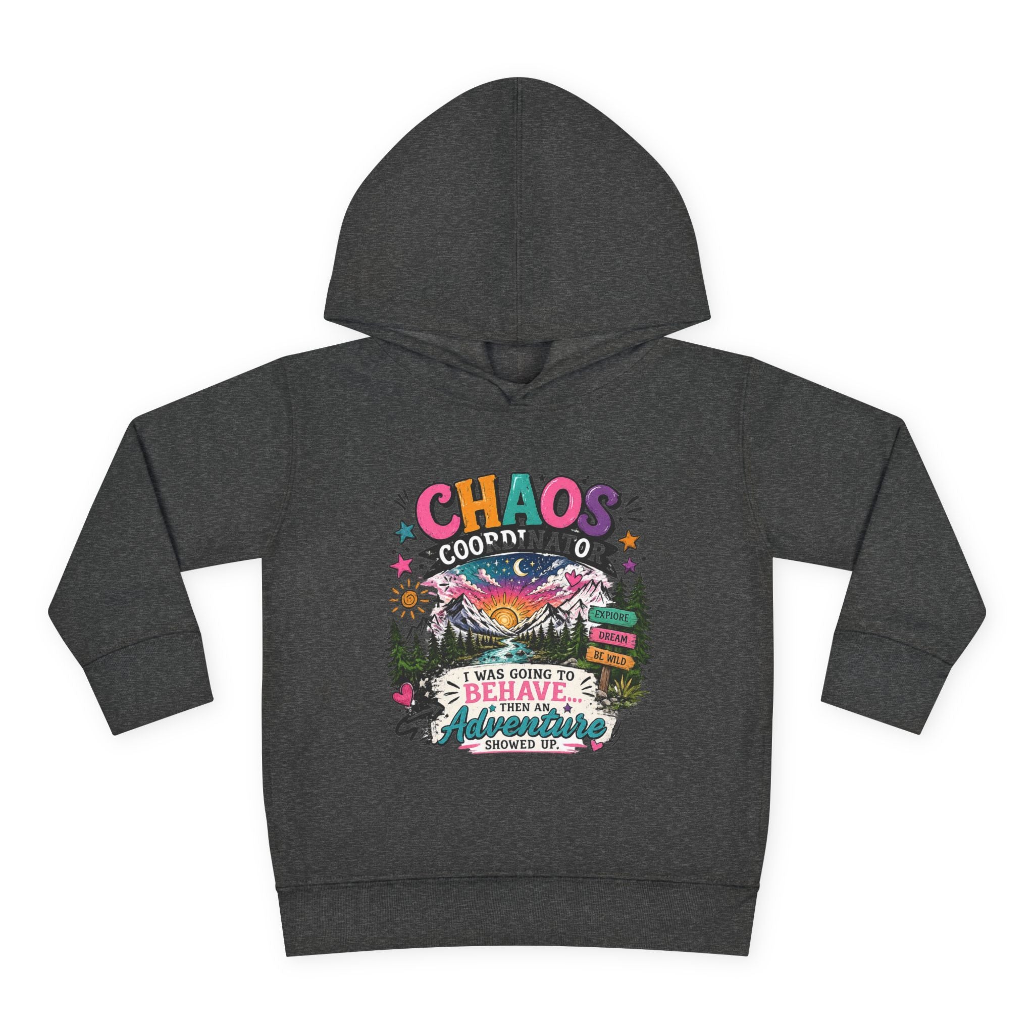Chaos Coordinator Toddler Pullover Fleece Hoodie