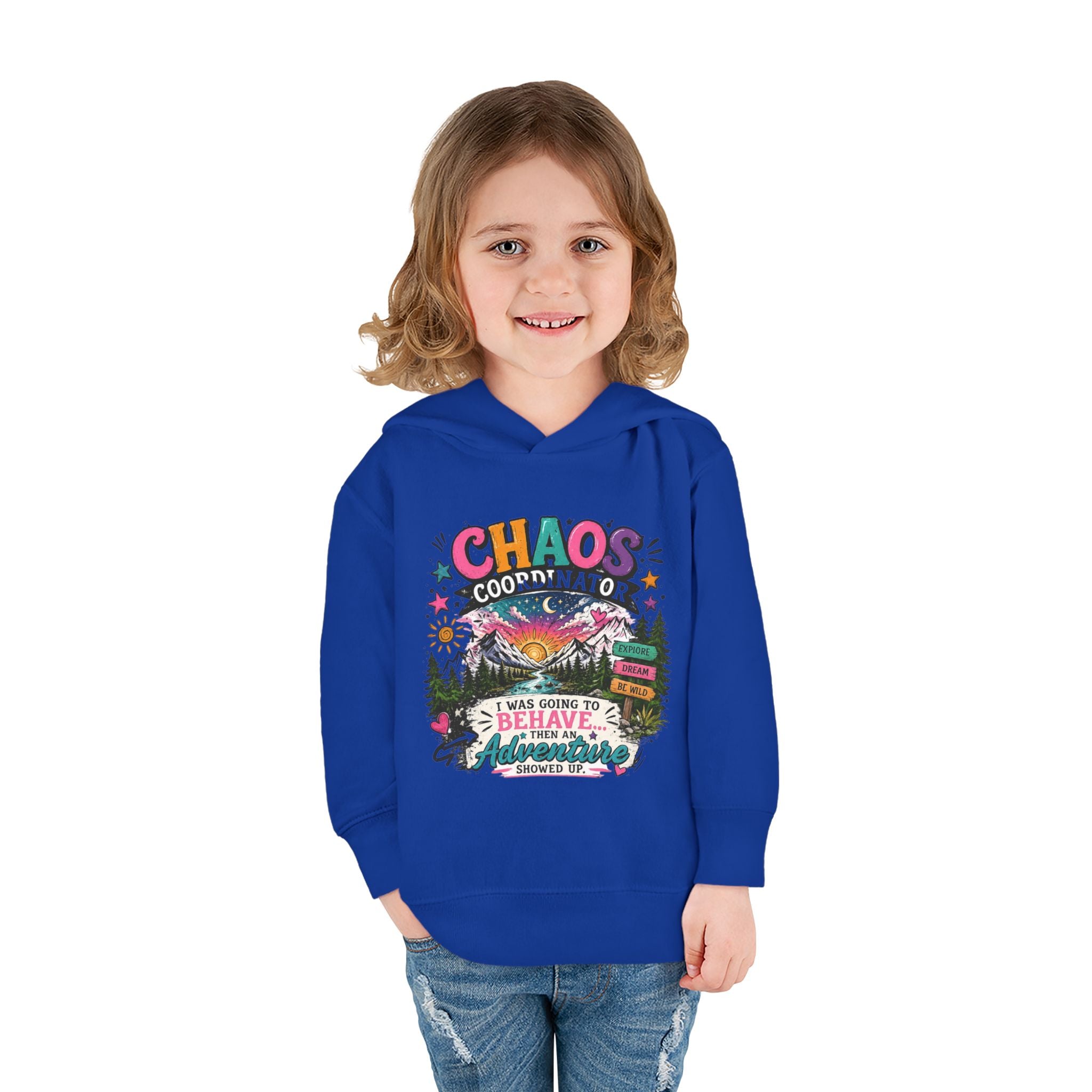 Chaos Coordinator Toddler Pullover Fleece Hoodie