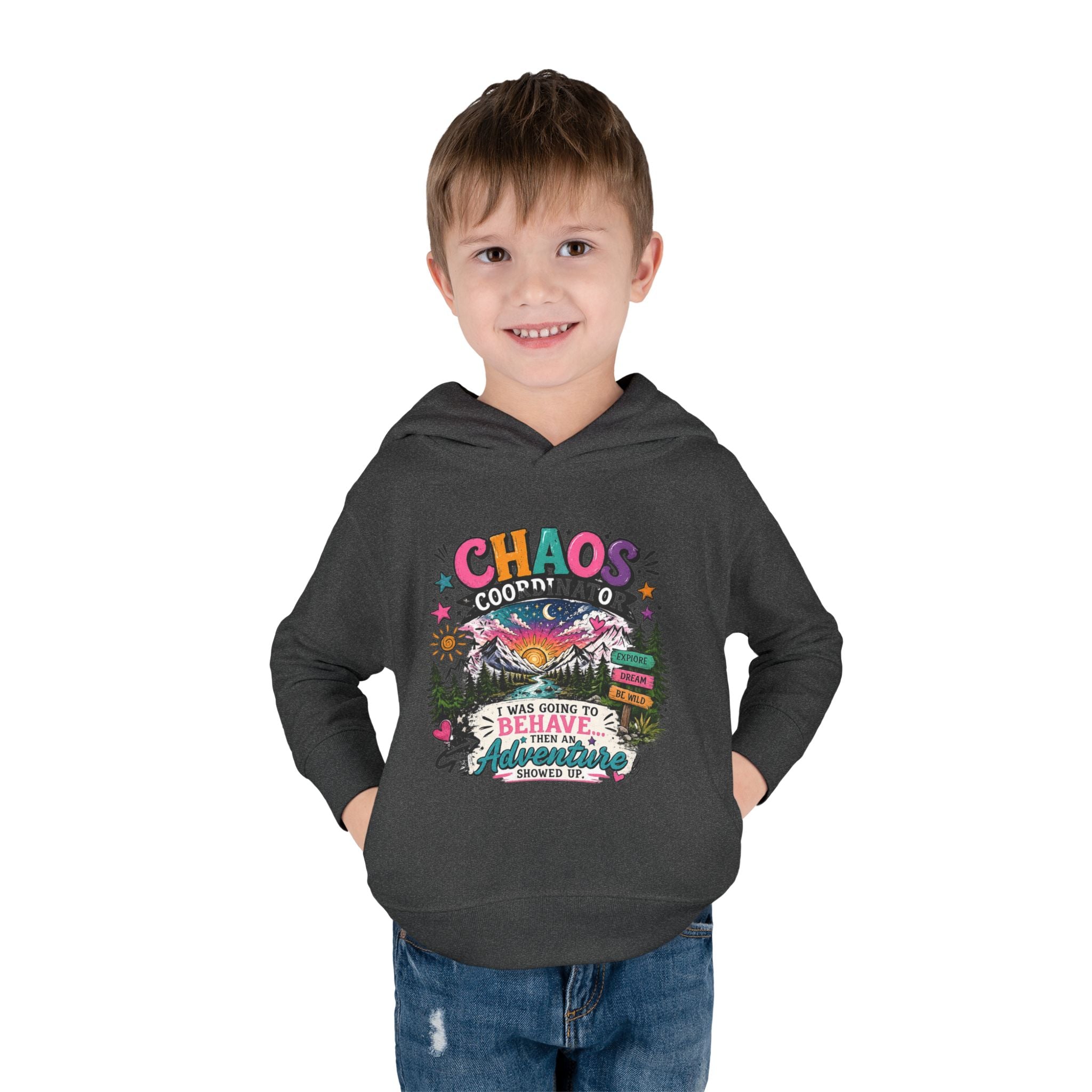 Chaos Coordinator Toddler Pullover Fleece Hoodie