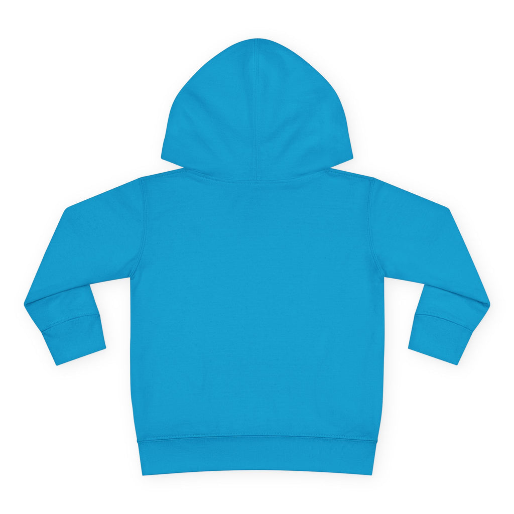 Chaos Coordinator Toddler Pullover Fleece Hoodie