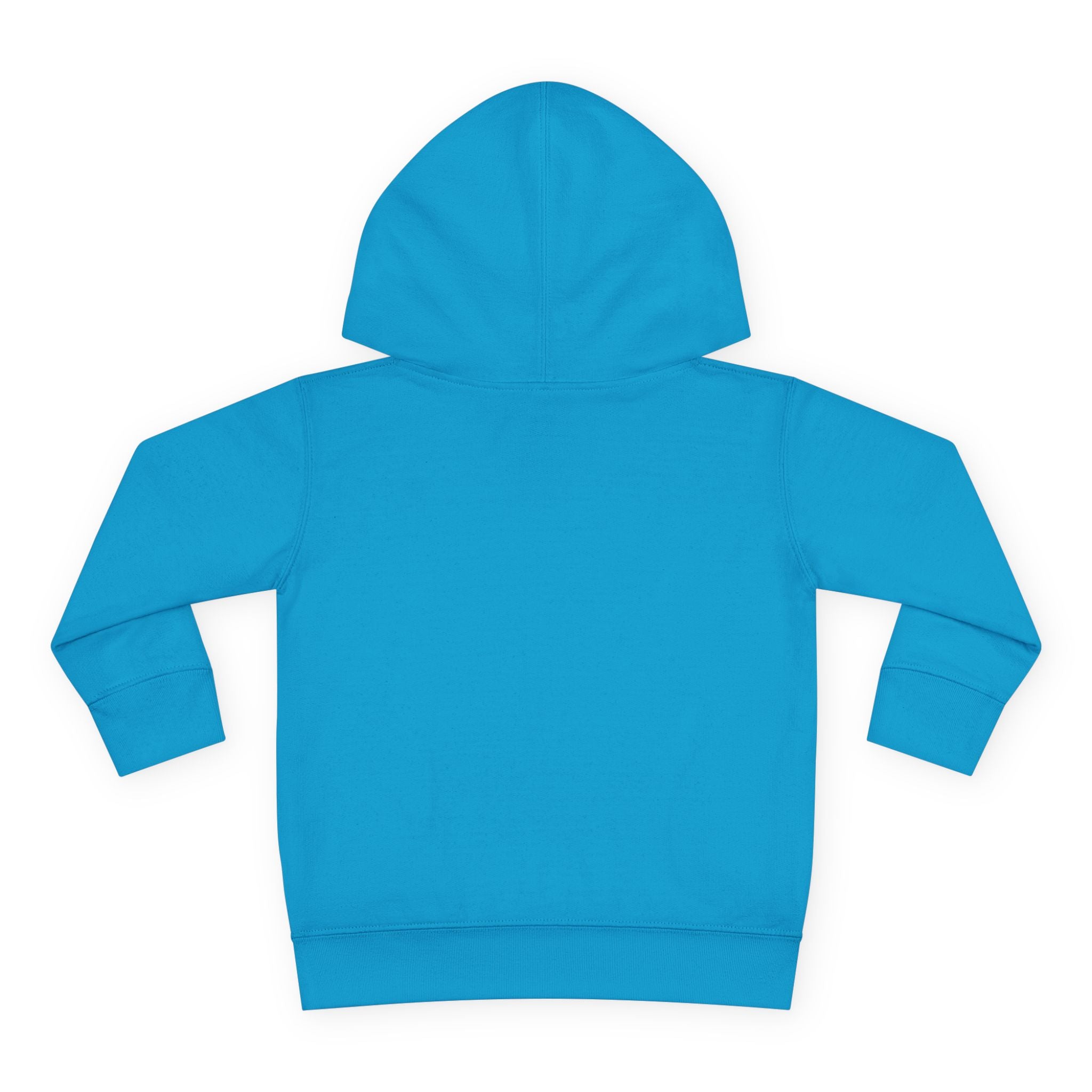Chaos Coordinator Toddler Pullover Fleece Hoodie
