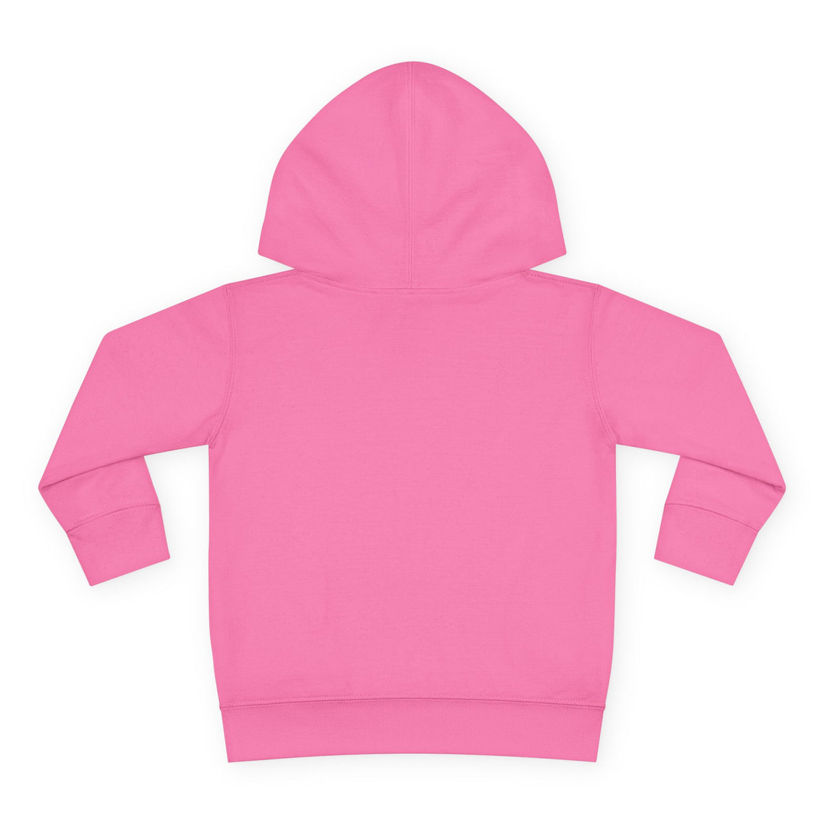 Chaos Coordinator Toddler Pullover Fleece Hoodie