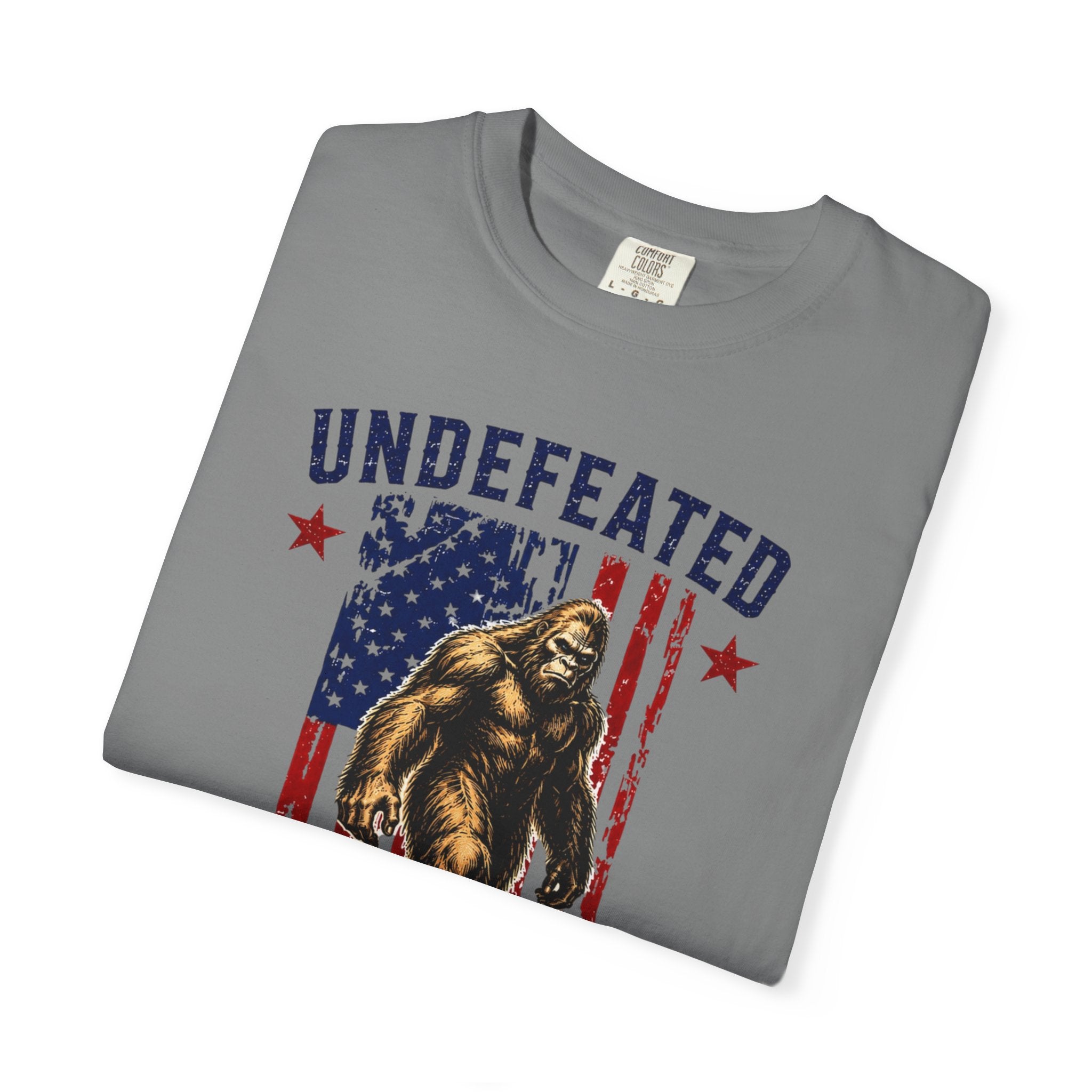 Undefeated Hide and Seek Champion 4th of July T-shirt