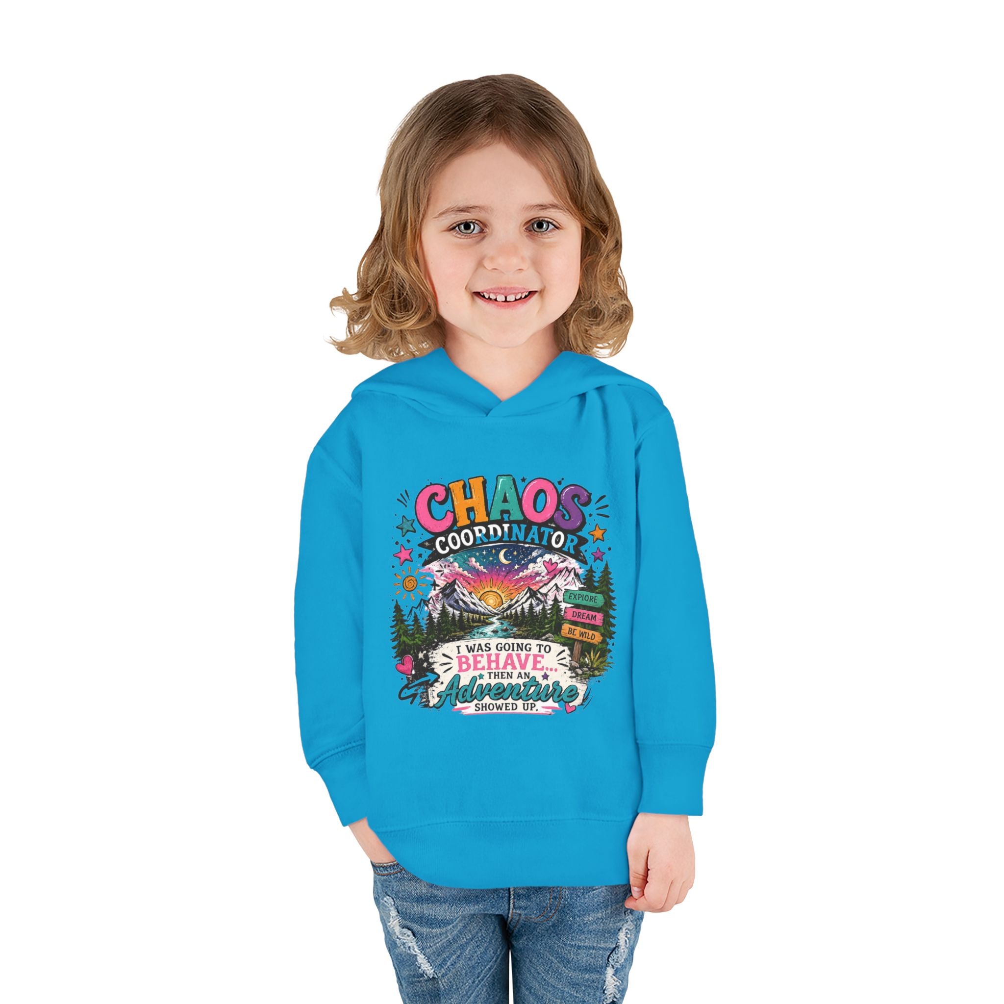 Chaos Coordinator Toddler Pullover Fleece Hoodie