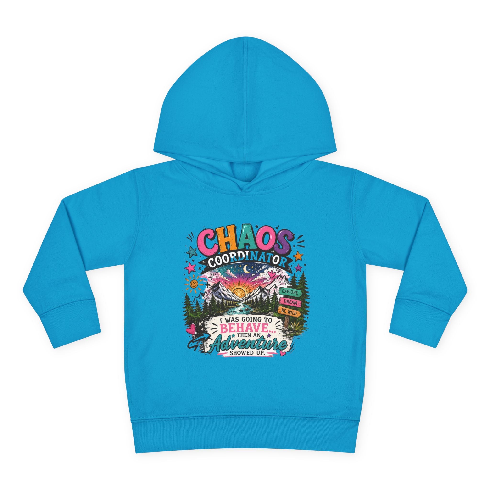Chaos Coordinator Toddler Pullover Fleece Hoodie