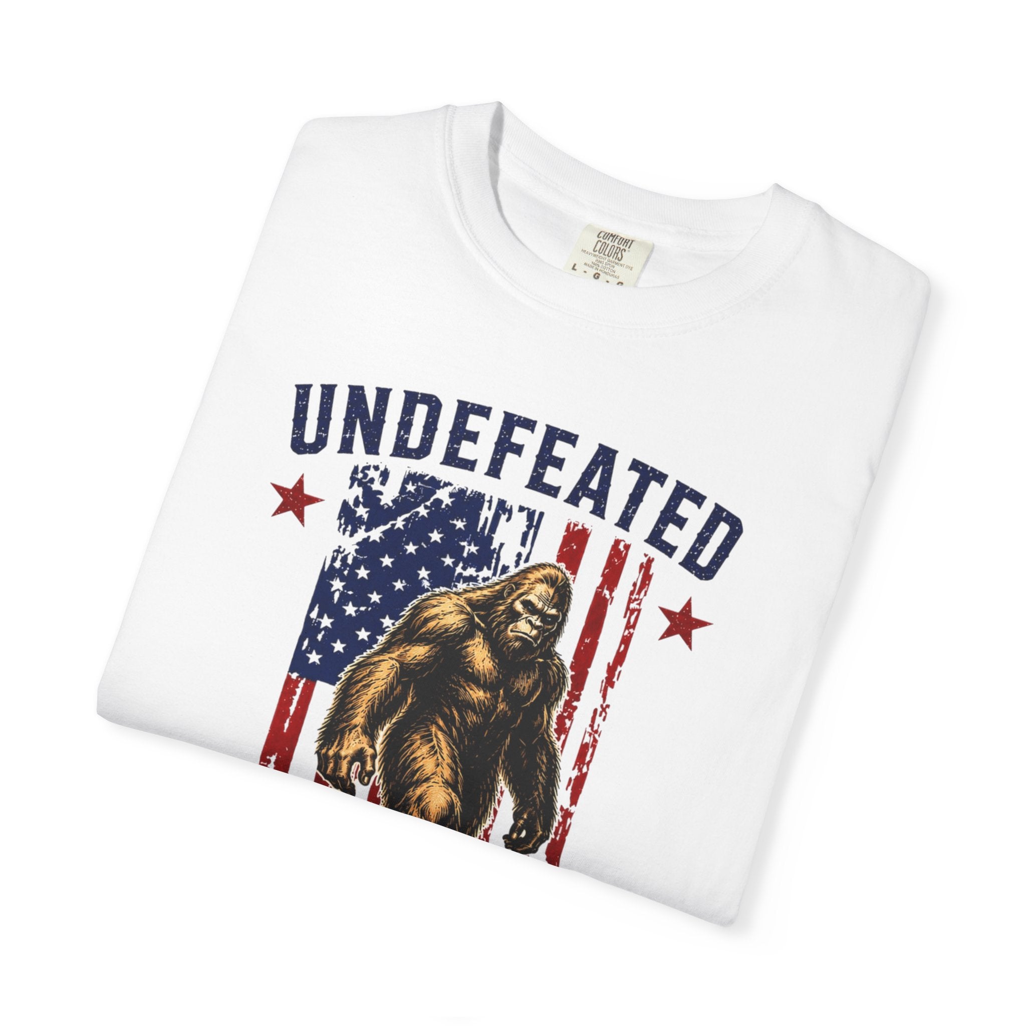 Undefeated Hide and Seek Champion 4th of July T-shirt
