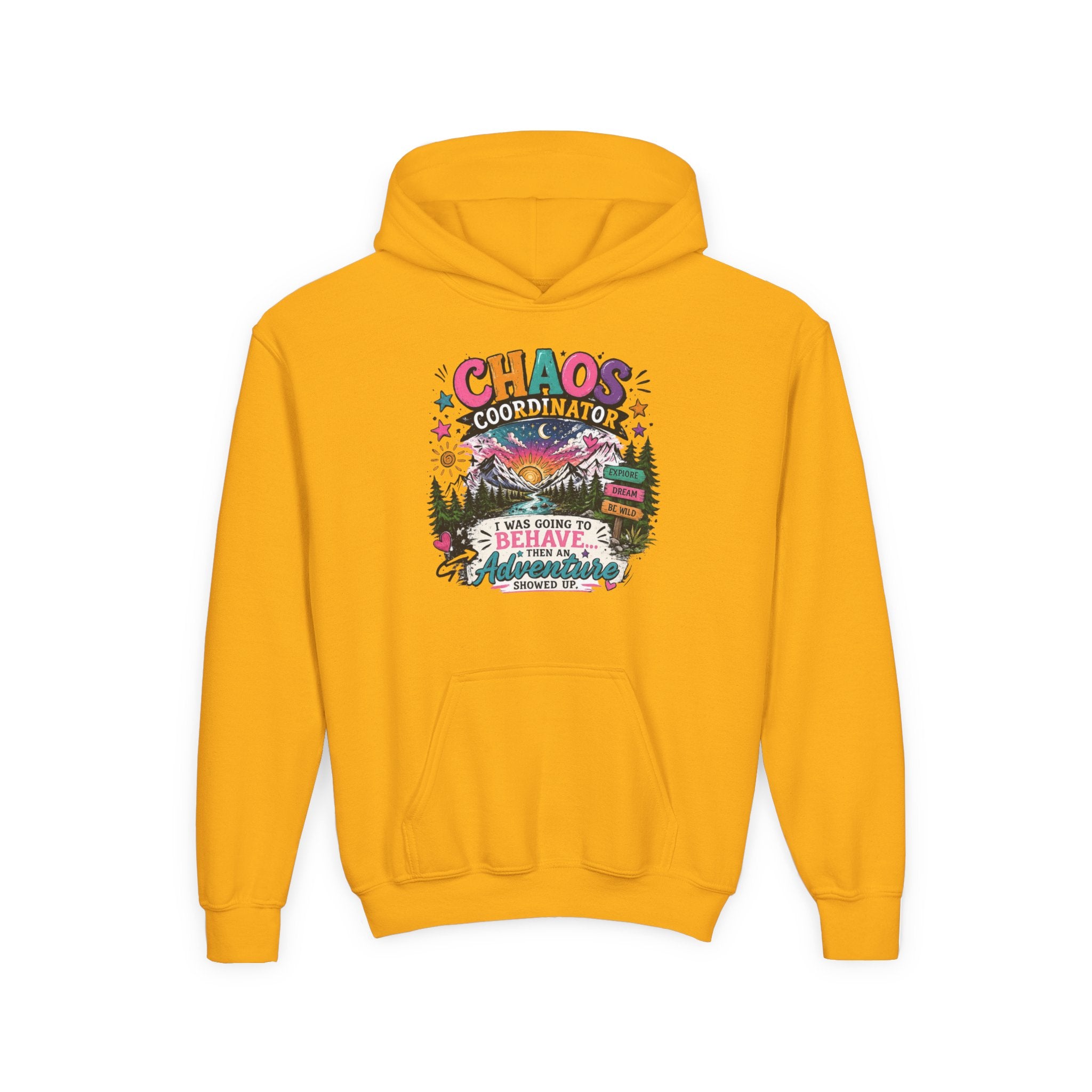 Chaos Coordinator Youth Heavy Blend Hooded Sweatshirt