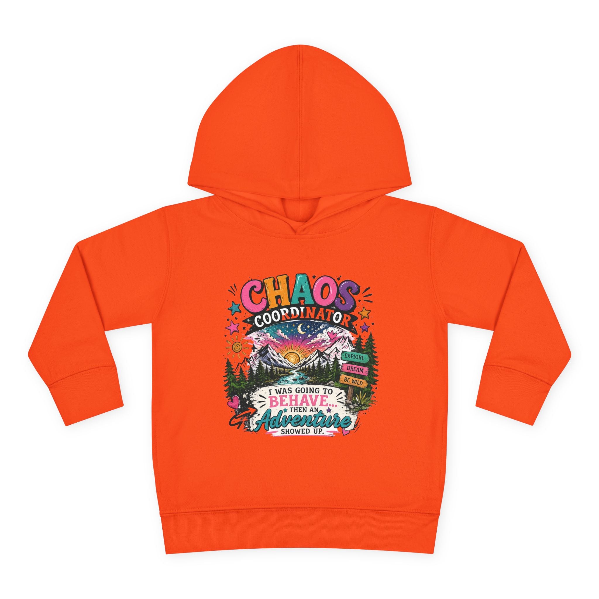 Chaos Coordinator Toddler Pullover Fleece Hoodie