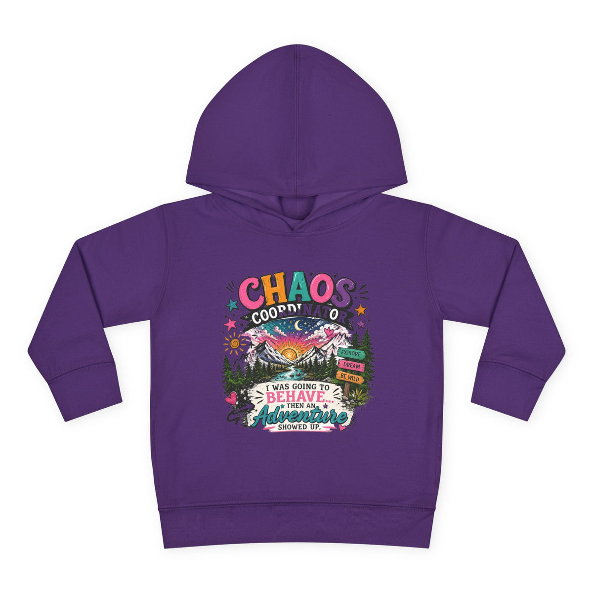 Chaos Coordinator Toddler Pullover Fleece Hoodie