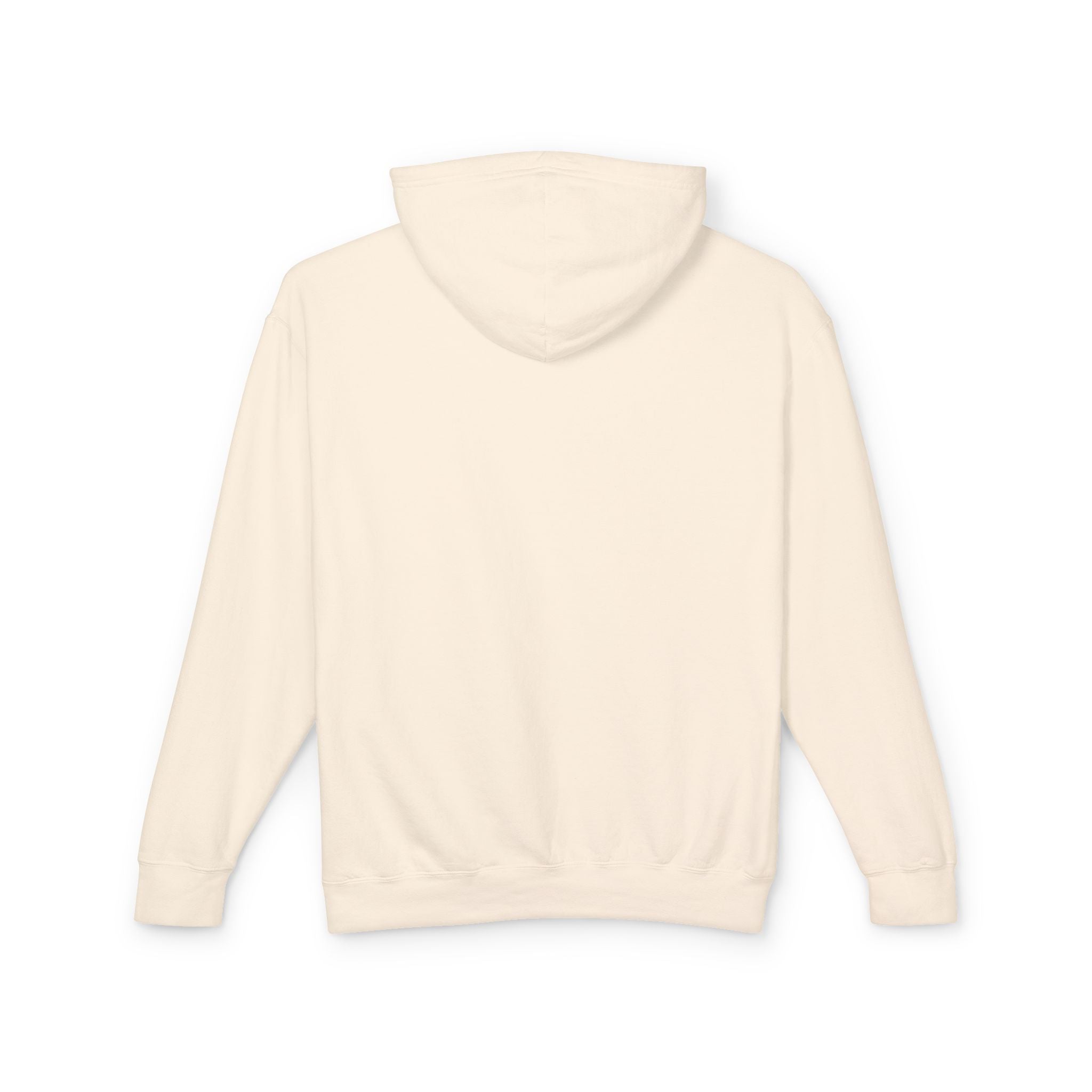 Undefeated Hide and Seek Champion 4th of July Hooded Sweatshirt