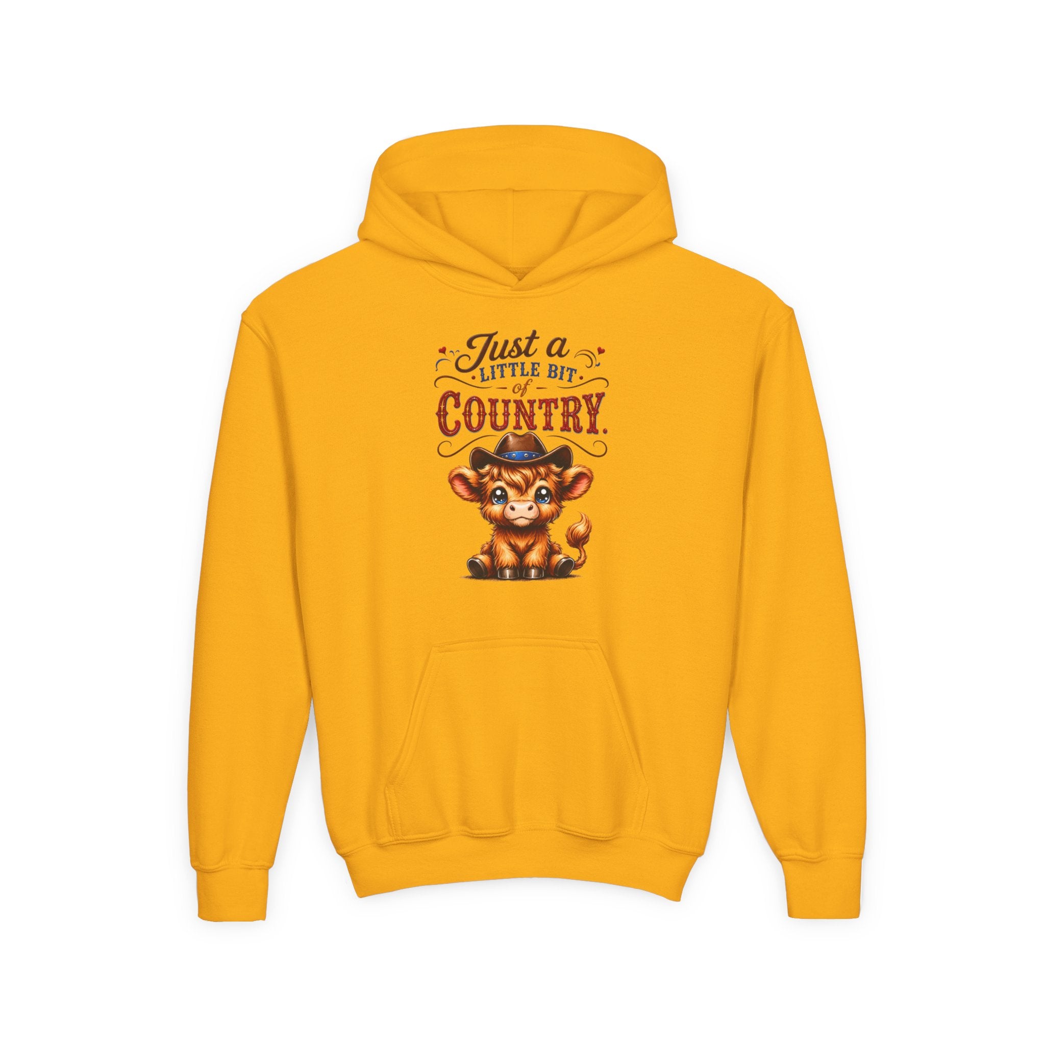 Just a Little Bit of Country Youth Heavy Blend Hooded Sweatshirt