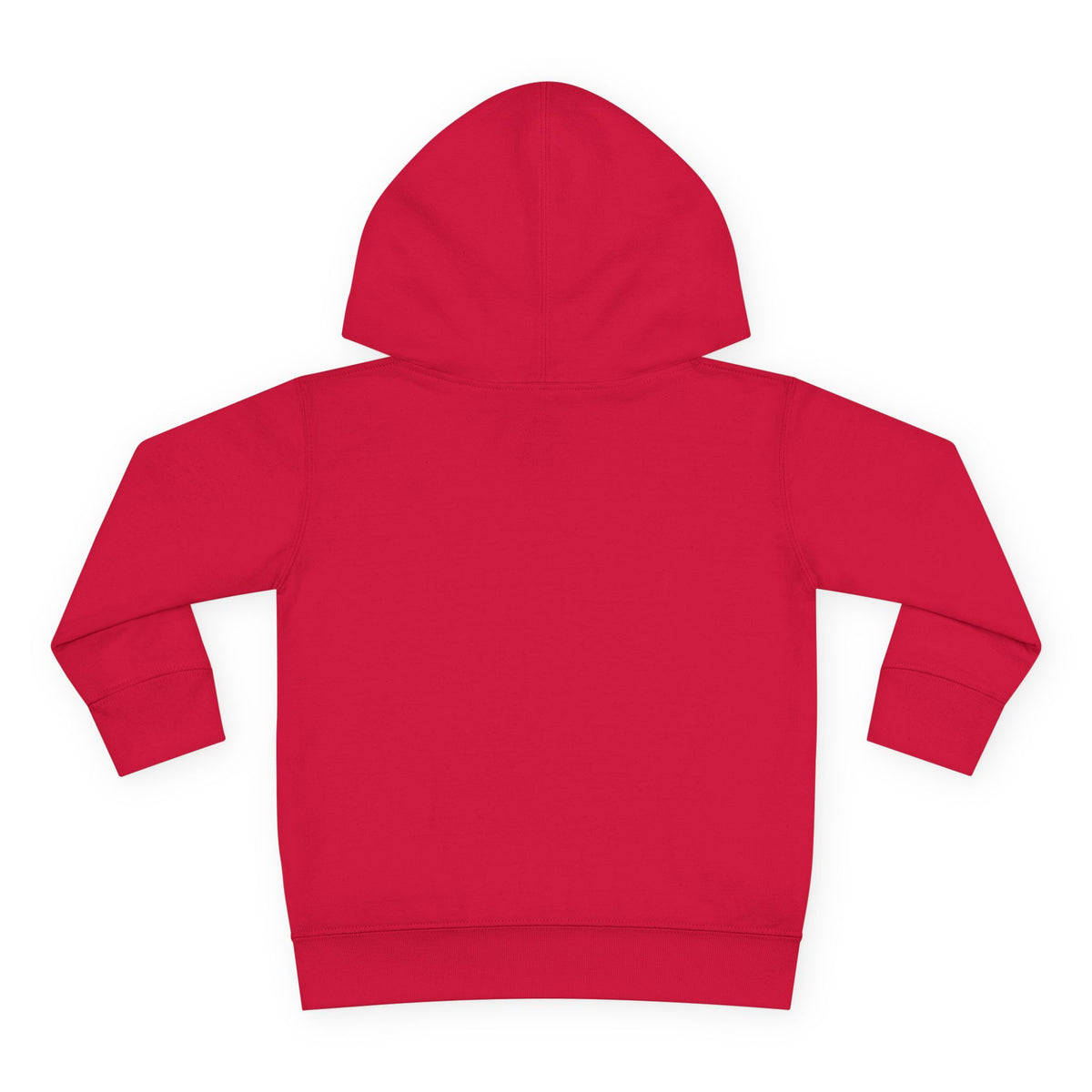 Chaos Coordinator Toddler Pullover Fleece Hoodie
