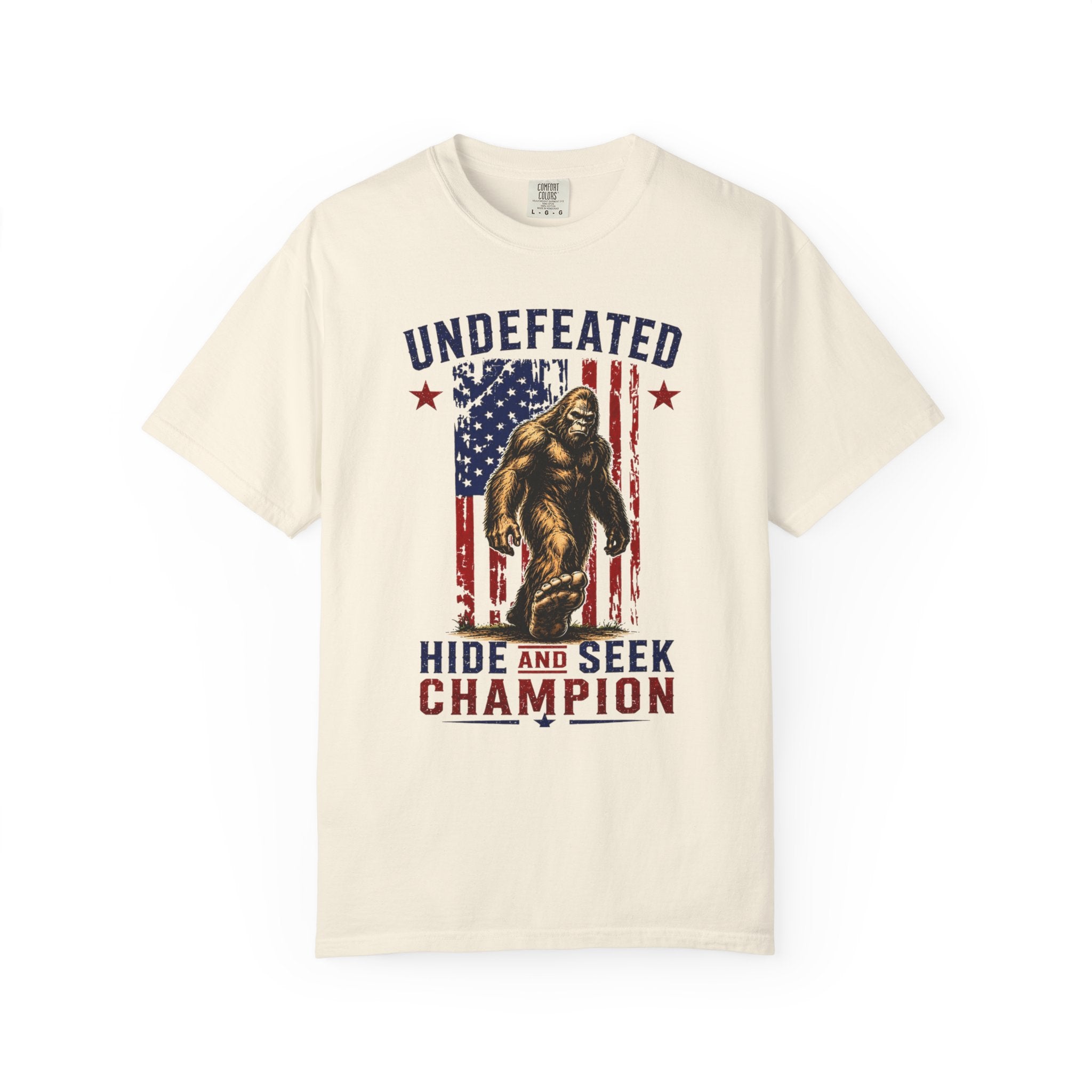 Undefeated Hide and Seek Champion 4th of July T-shirt