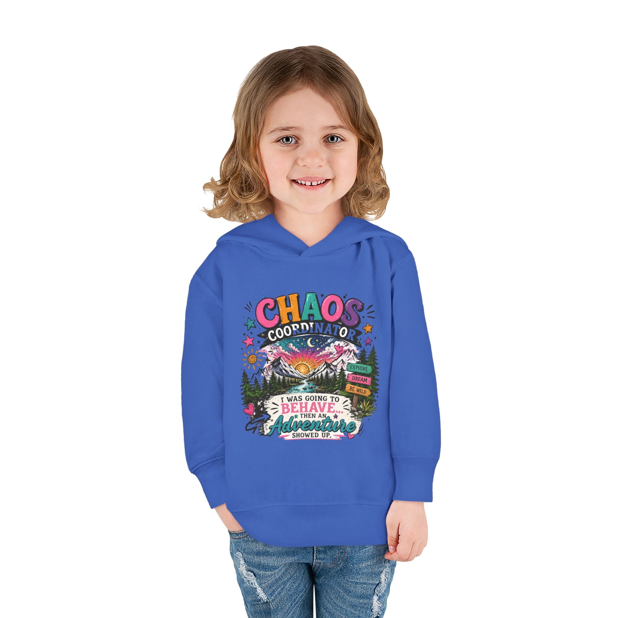 Chaos Coordinator Toddler Pullover Fleece Hoodie