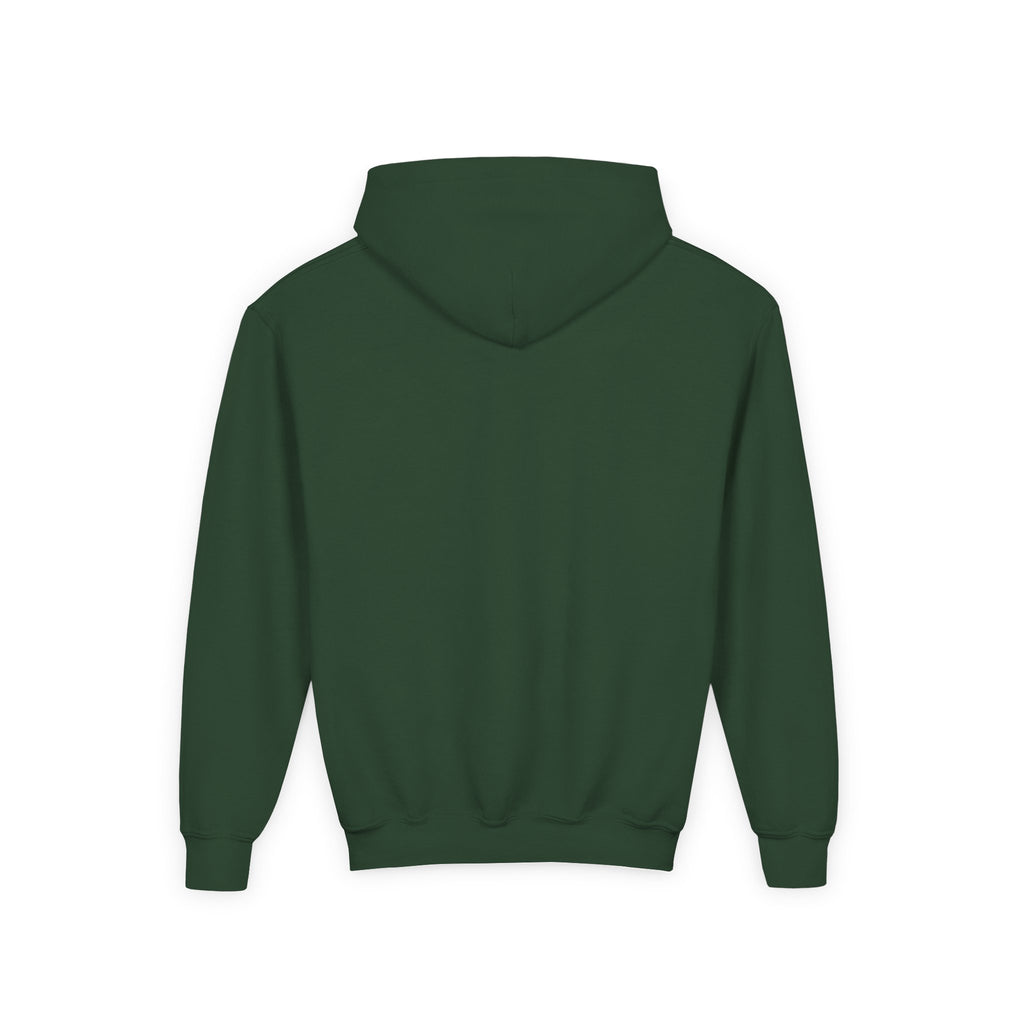 Youth Hoodie — "Wild & Free" Horse Graphic Pullover