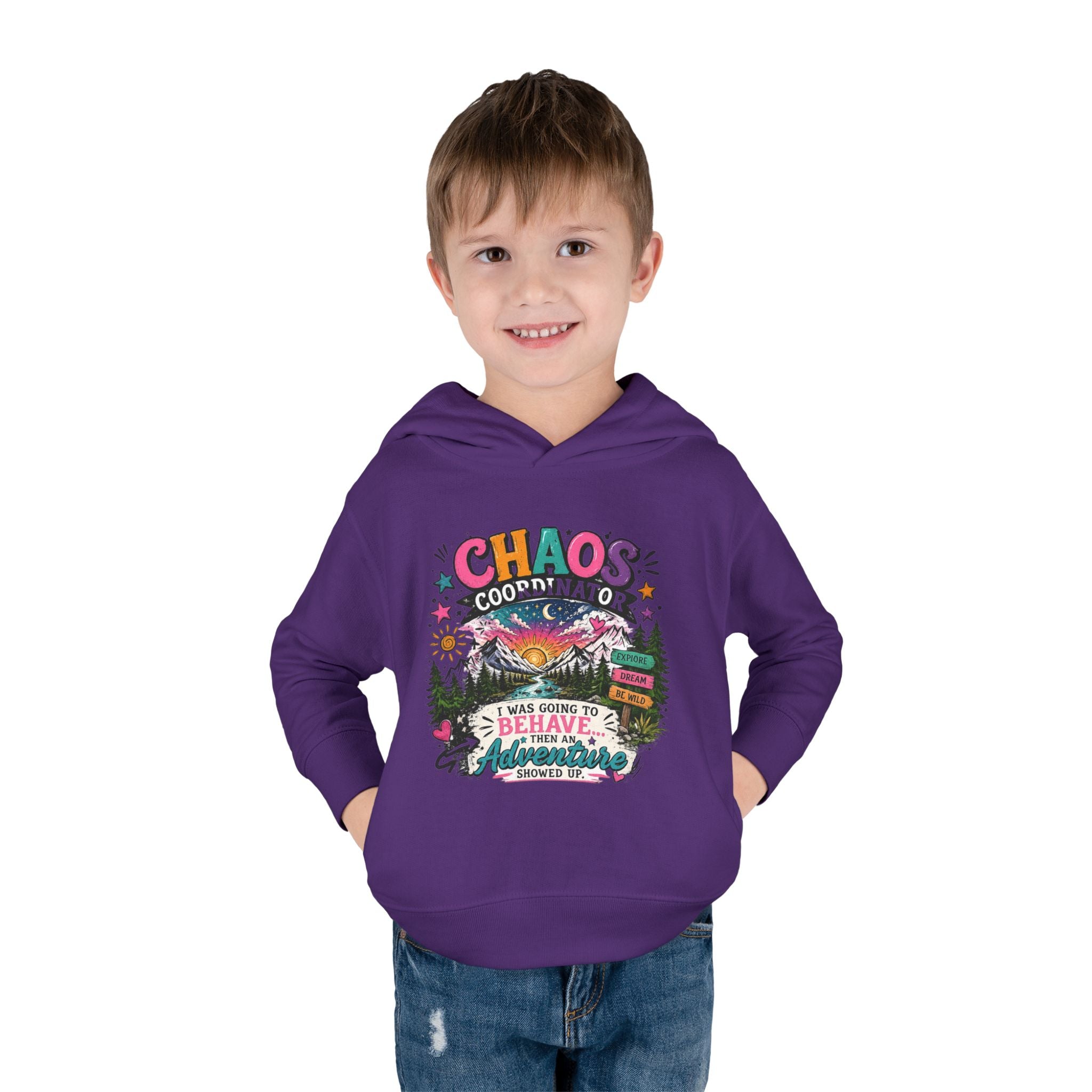 Chaos Coordinator Toddler Pullover Fleece Hoodie